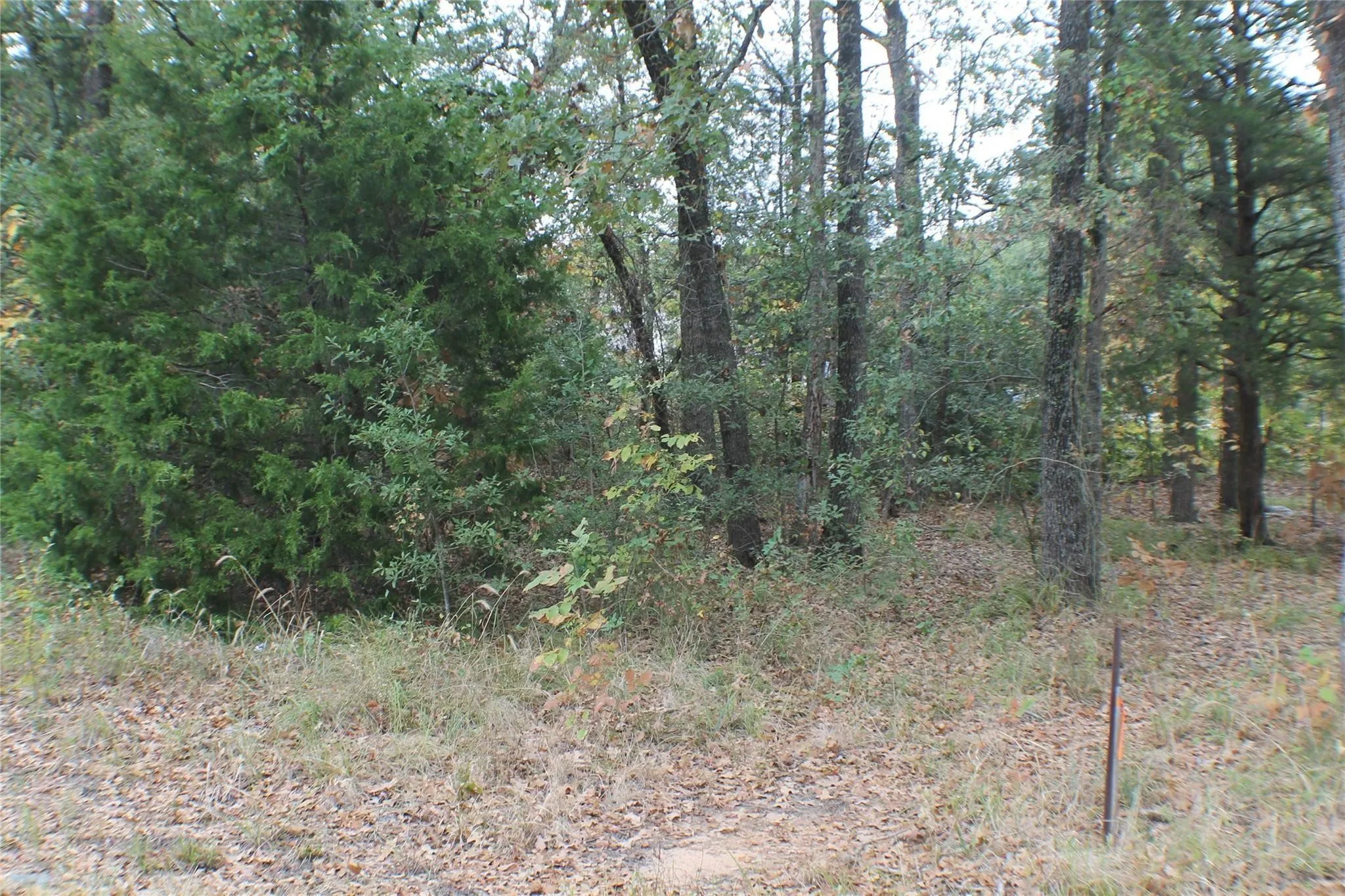 Unimproved Land For Sale in Henderson County , 0 Inca Drive, Enchanted Oaks, Texas 75156, 0, 0, Garage spaces, 0 Sqft, built in 0, mls#21404654, Real Estate Agent in Enchanted Oaks, Homes For Sale in Henderson county, Homes For Sale in Enchanted Oaks, Realtor in Enchanted Oaks Texas, Real Estate Brokerage Independent Realty Texas, Luminita Cordes Realtor