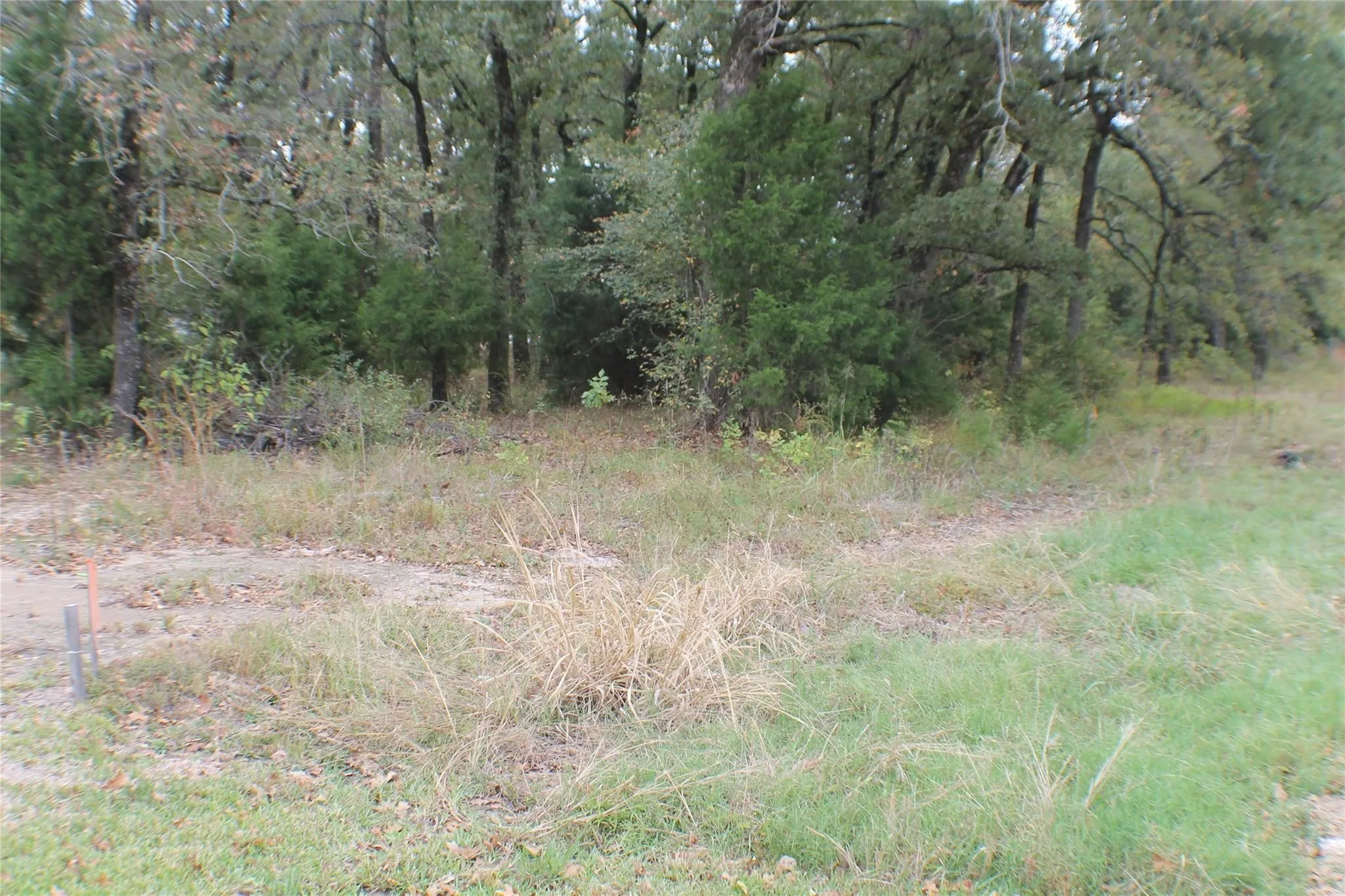 Unimproved Land For Sale
