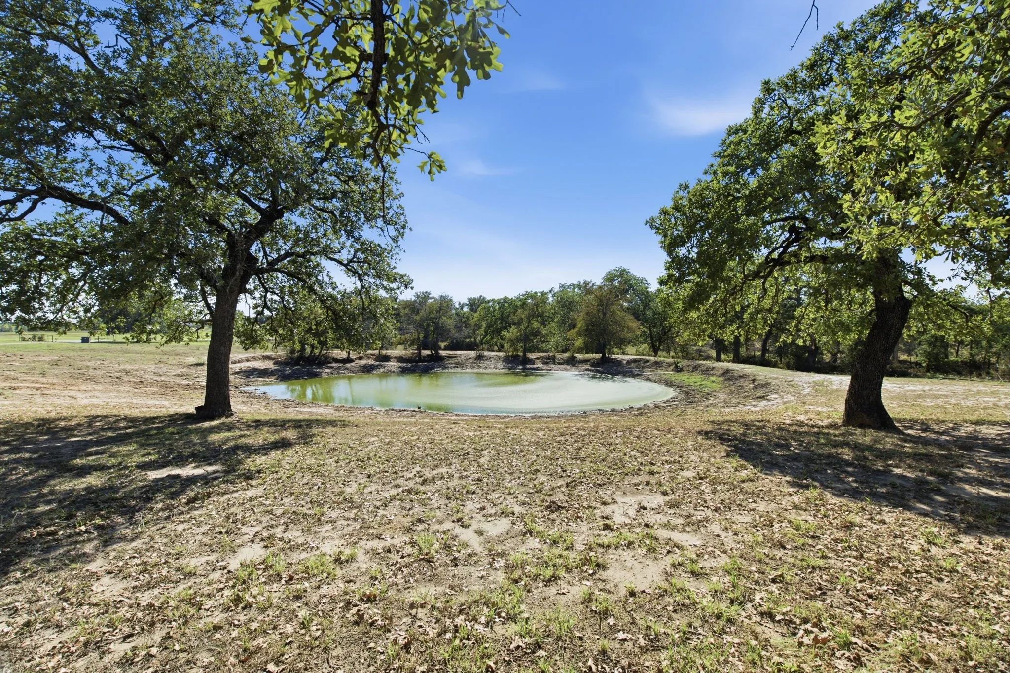 Mobile Home For Sale in Wise County , 664 County Road 4756, Boyd, Texas 76023, 4 Bedroom, 2 Bathroom, Garage spaces, 2,380 Sqft, built in 2015, mls#21402867, Real Estate Agent in Boyd, Homes For Sale in Wise county, Homes For Sale in Boyd, Realtor in Boyd Texas, Real Estate Brokerage Independent Realty Texas, Luminita Cordes Realtor