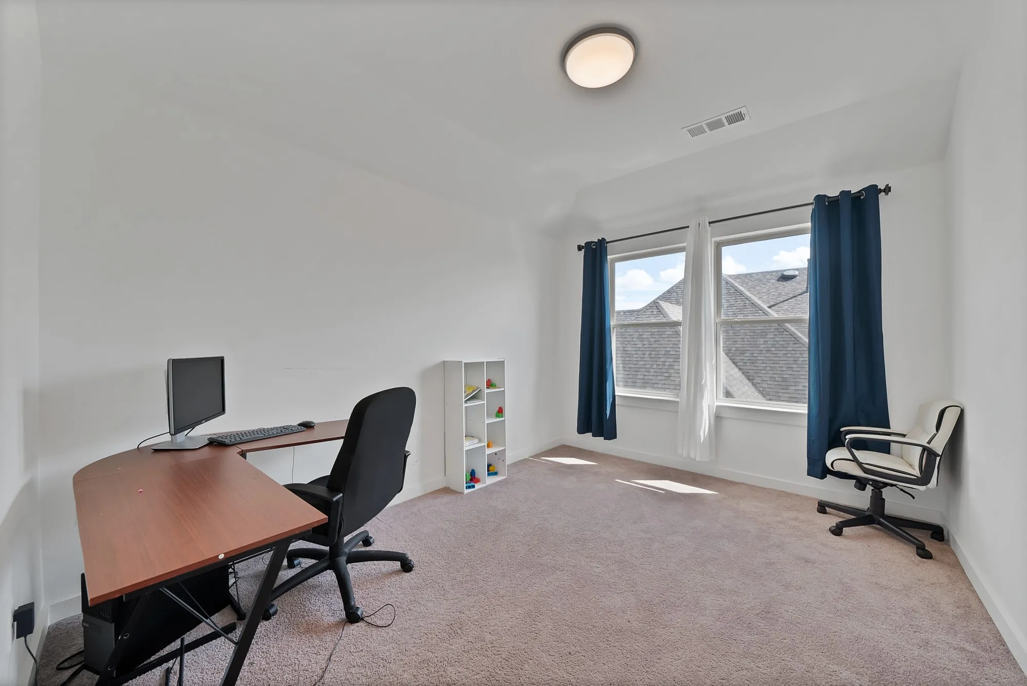 Neutral wall paint, plush carpet flooring, and dual windows