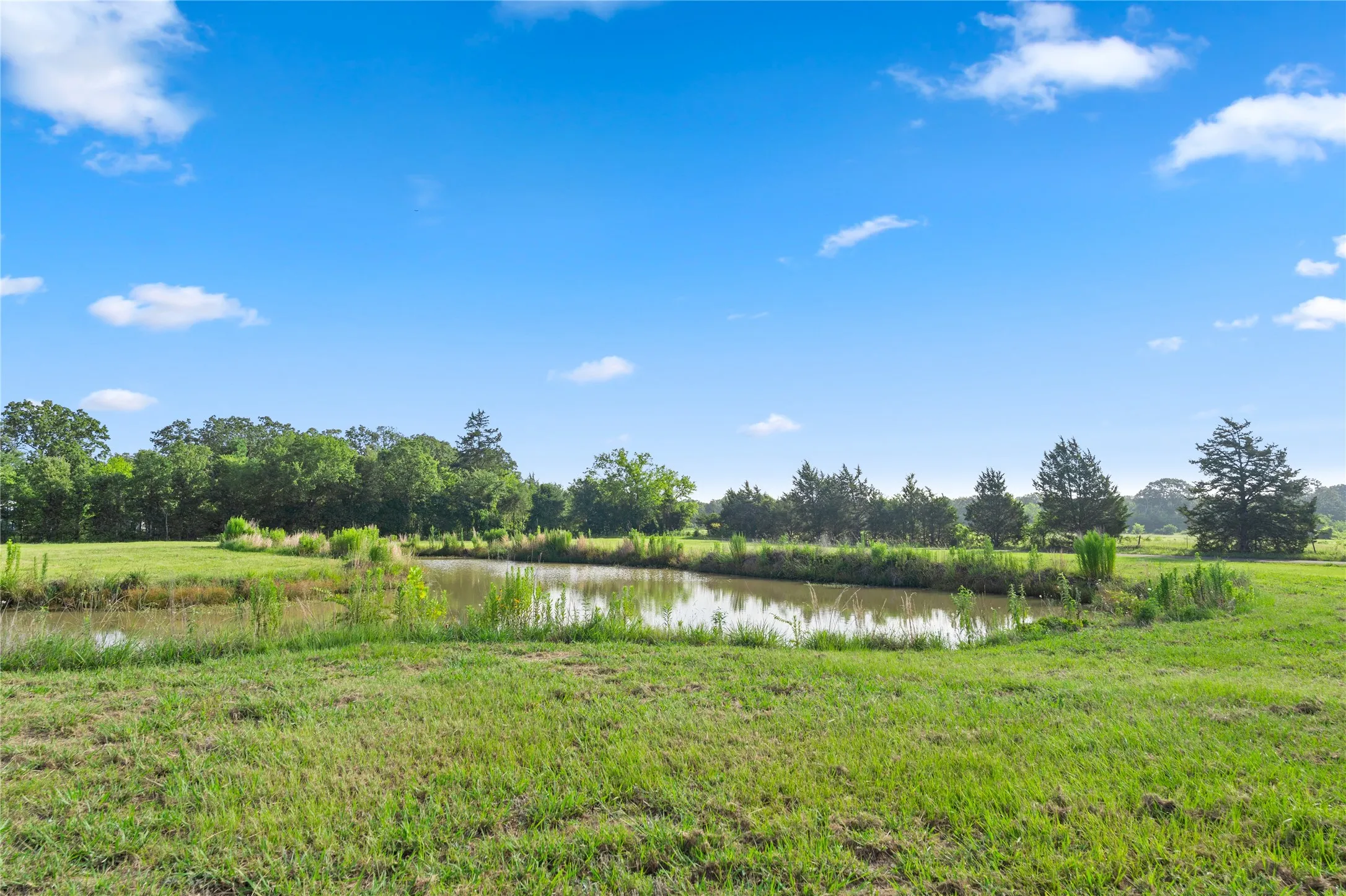 Single Family Residence For Rent in Wood County , 1001 County Road 1350, Quitman, Texas 75783, 3 Bedroom, 2 Bathroom, Garage spaces, 1,224 Sqft, built in 2022, mls#21407341, Real Estate Agent in Quitman, Homes For Rent in Wood county, Homes For Rent in Quitman, Realtor in Quitman Texas, Real Estate Brokerage Independent Realty Texas, Luminita Cordes Realtor