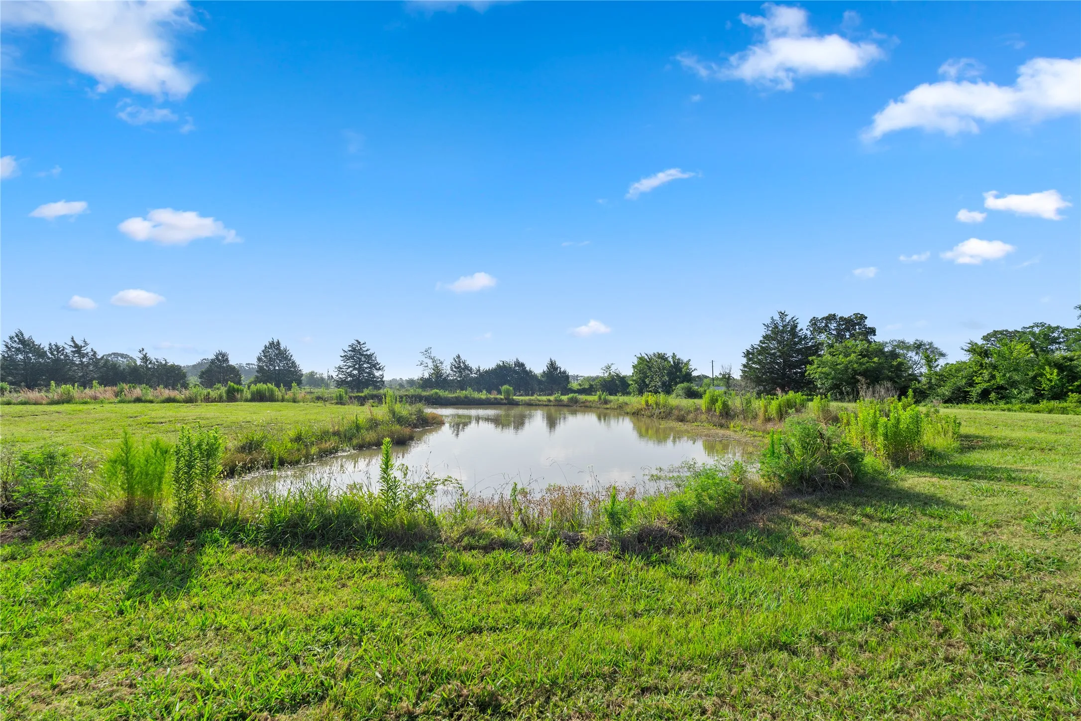 Single Family Residence For Rent in Wood County , 1001 County Road 1350, Quitman, Texas 75783, 3 Bedroom, 2 Bathroom, Garage spaces, 1,224 Sqft, built in 2022, mls#21407341, Real Estate Agent in Quitman, Homes For Rent in Wood county, Homes For Rent in Quitman, Realtor in Quitman Texas, Real Estate Brokerage Independent Realty Texas, Luminita Cordes Realtor