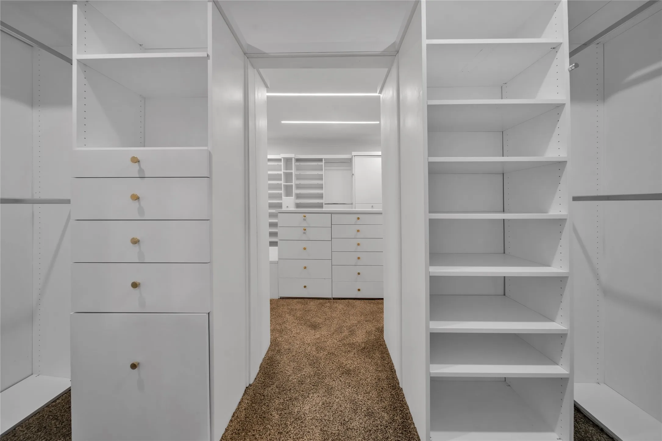 Spacious closet featuring dark colored carpet