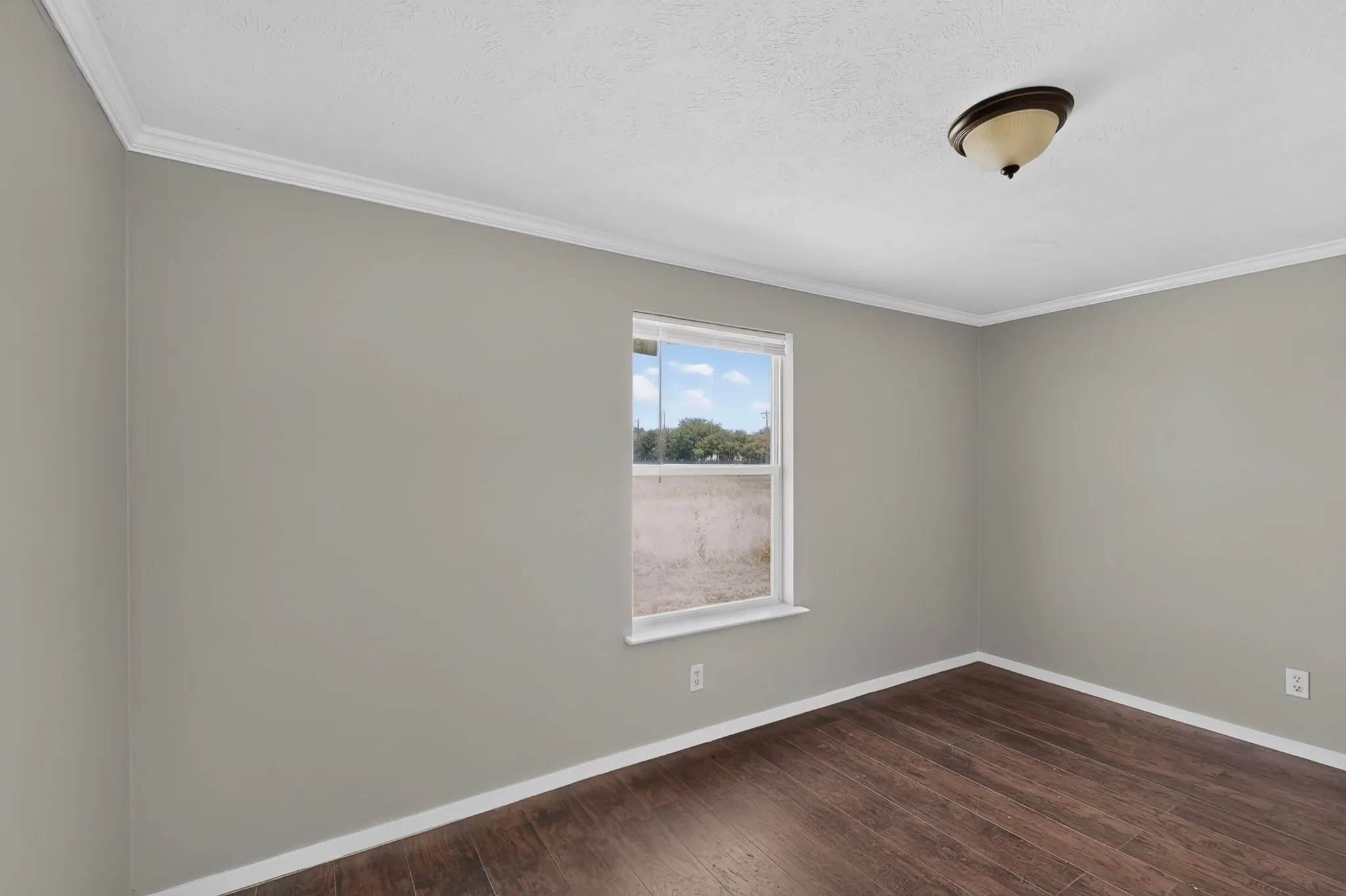 Wood-finish flooring, neutral wall paint, crown molding, and ceiling-mounted light fixture