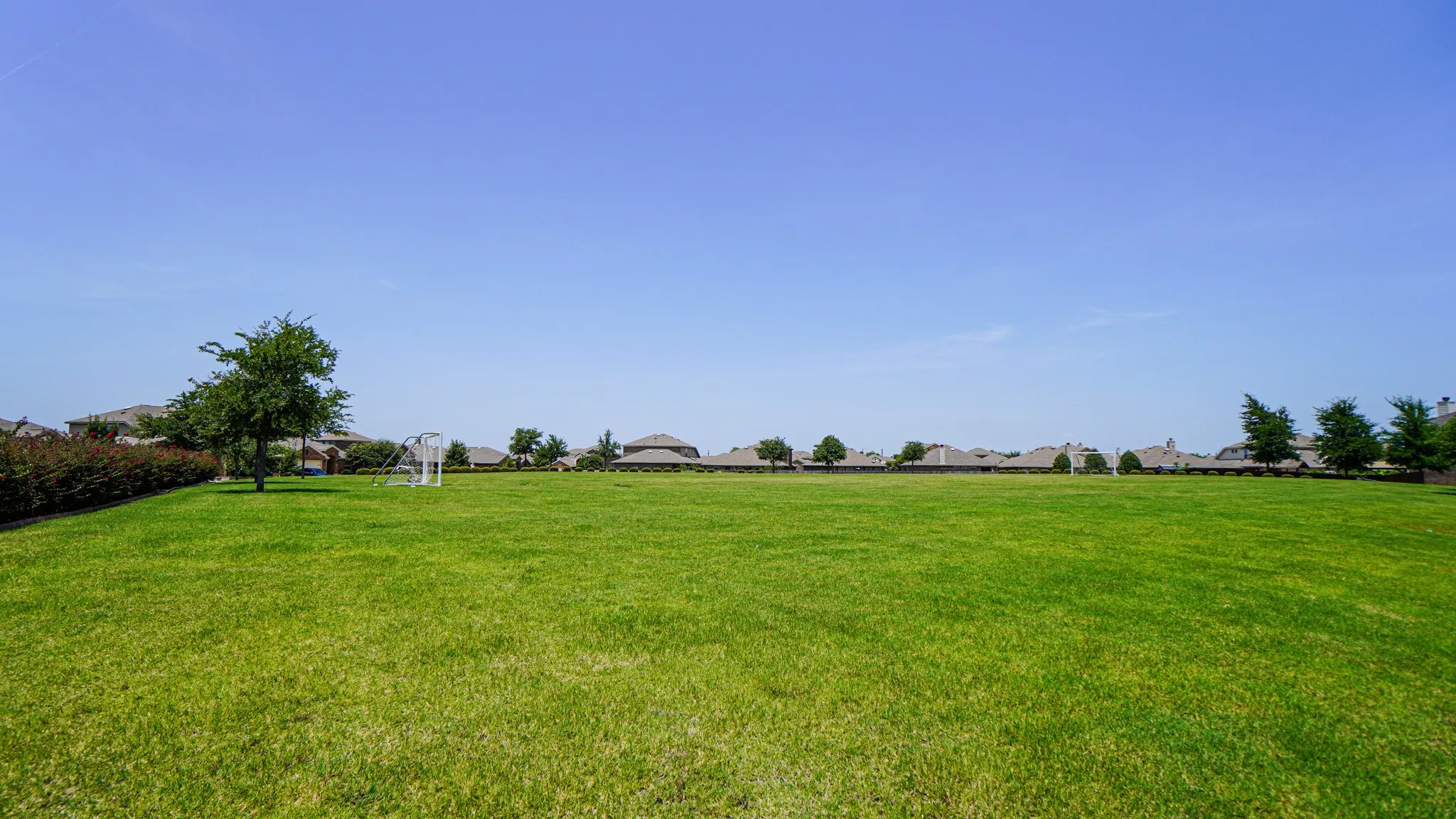 Single Family Residence For Rent in Rockwall County , 239 Oxford Drive, Fate, Texas 75189, 4 Bedroom, 3 Bathroom, 2 Garage spaces, 2,380 Sqft, built in 2016, mls#21407129, Real Estate Agent in Fate, Homes For Rent in Rockwall county, Homes For Rent in Fate, Realtor in Fate Texas, Real Estate Brokerage Independent Realty Texas, Luminita Cordes Realtor