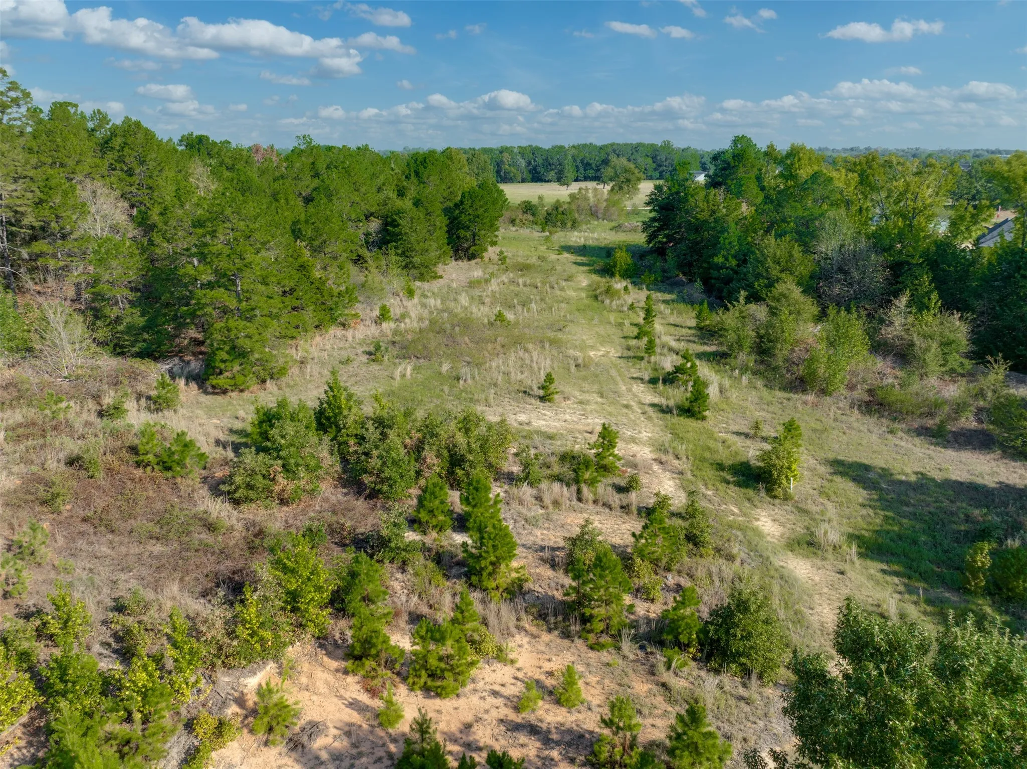 Improved Land For Sale in Smith County , 0 Corrigan Trails Boulevard, Lindale, Texas 75771, 0, 0, Garage spaces, 0 Sqft, built in 0, mls#21407776, Real Estate Agent in Lindale, Homes For Sale in Smith county, Homes For Sale in Lindale, Realtor in Lindale Texas, Real Estate Brokerage Independent Realty Texas, Luminita Cordes Realtor