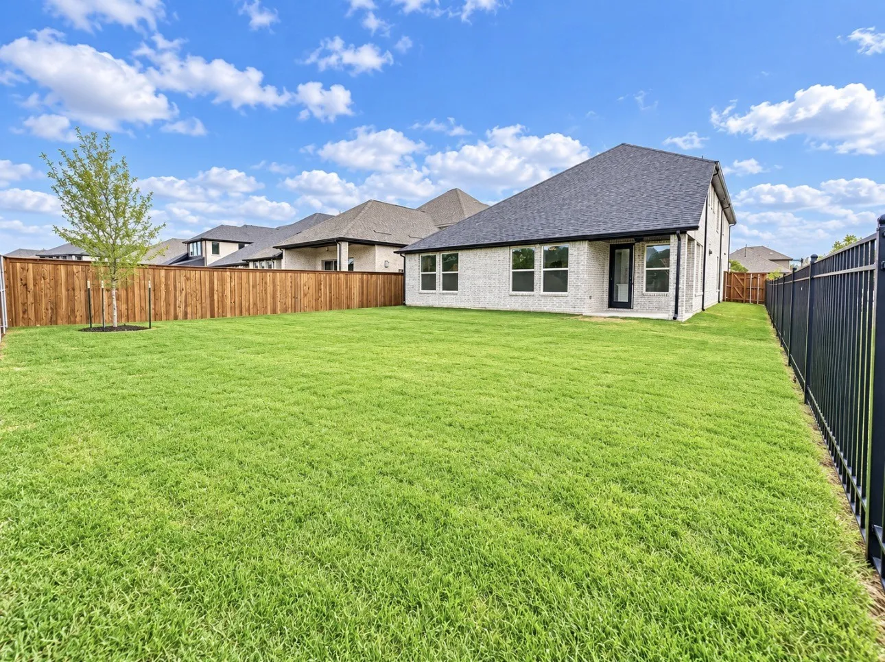 Expansive backyard featuring a manicured lawn, established privacy fencing, and a newly planted tree