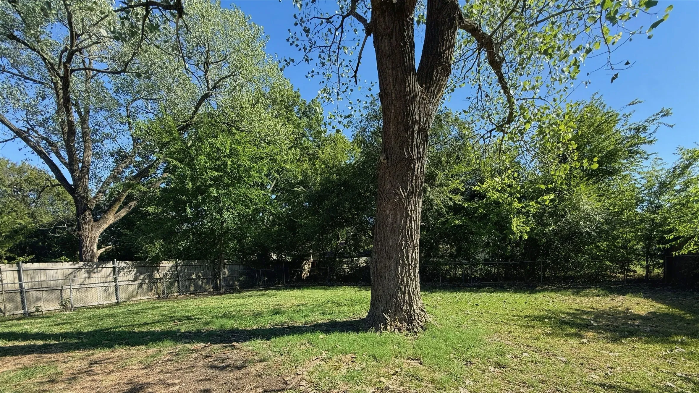 Expansive backyard featuring a large tree, mature perimeter foliage, and a wood fence