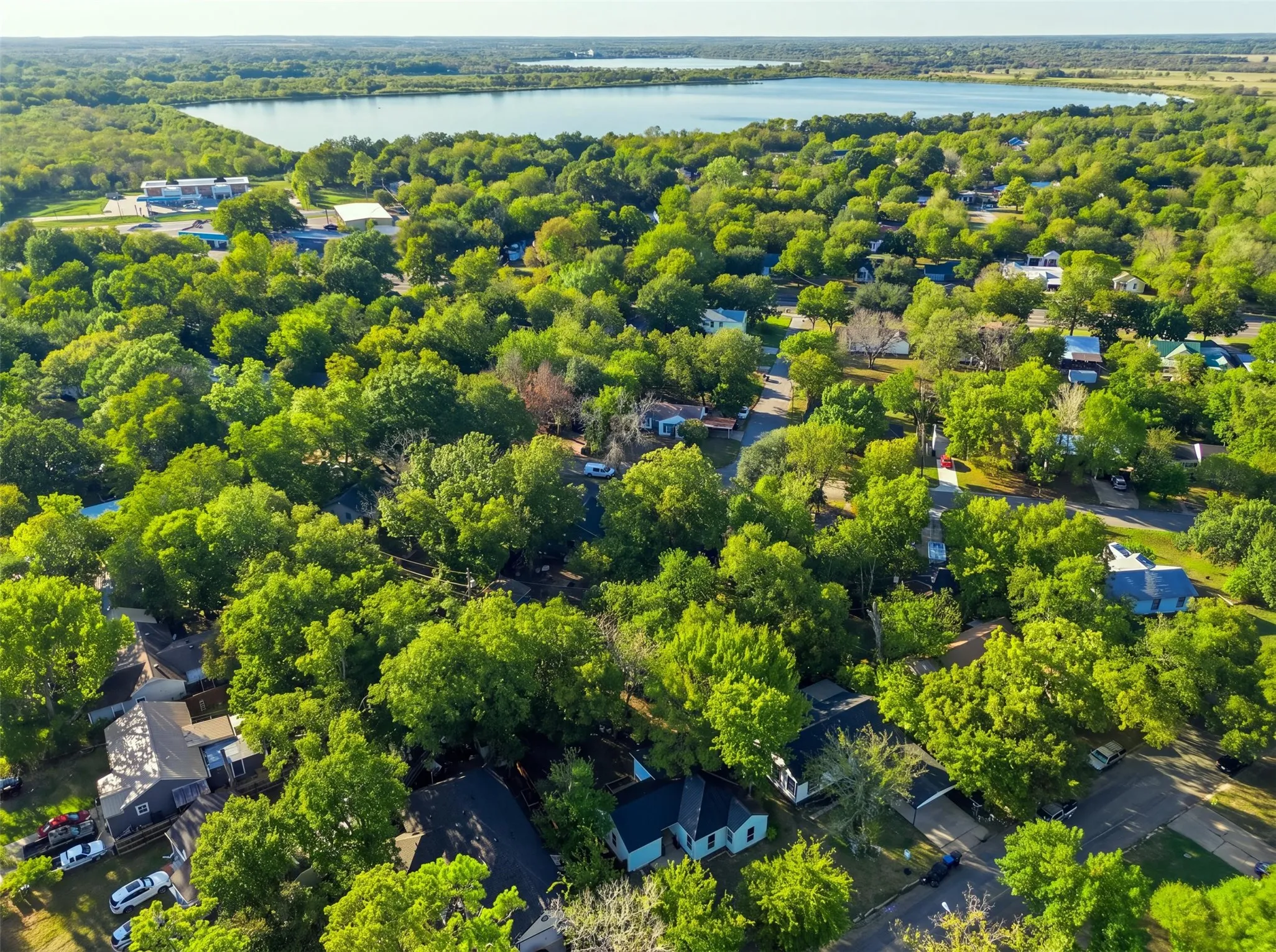 Lakeside community with extensive tree canopy and residential streets