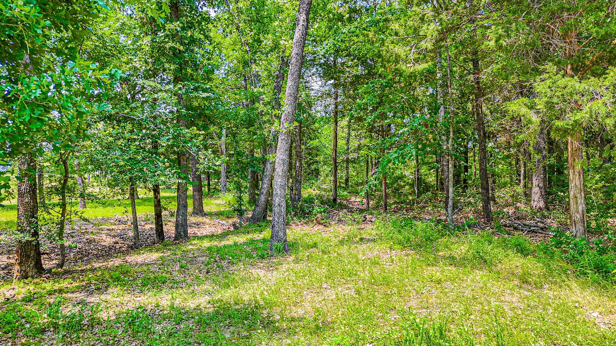 View of nature