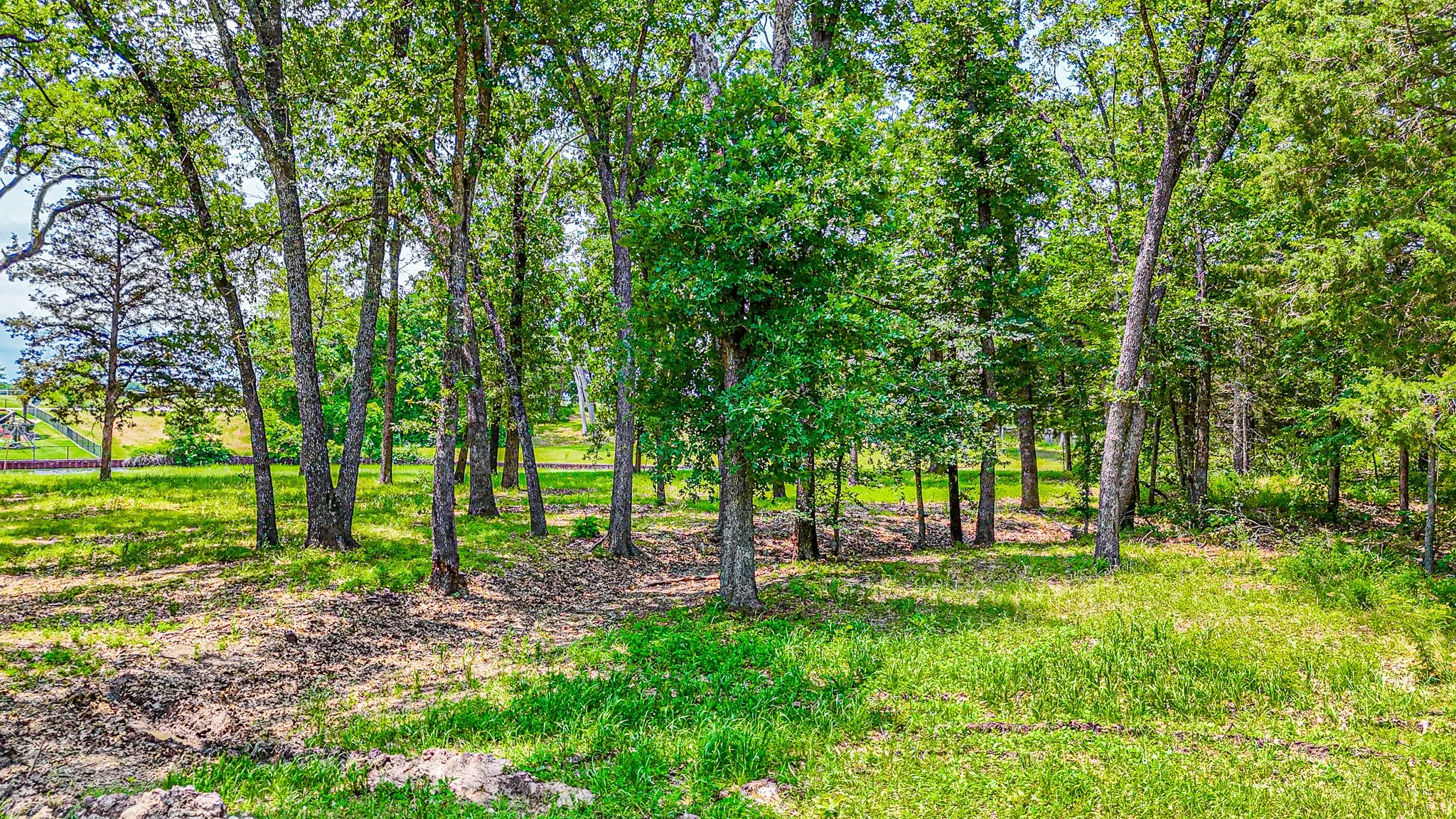 View of local wilderness