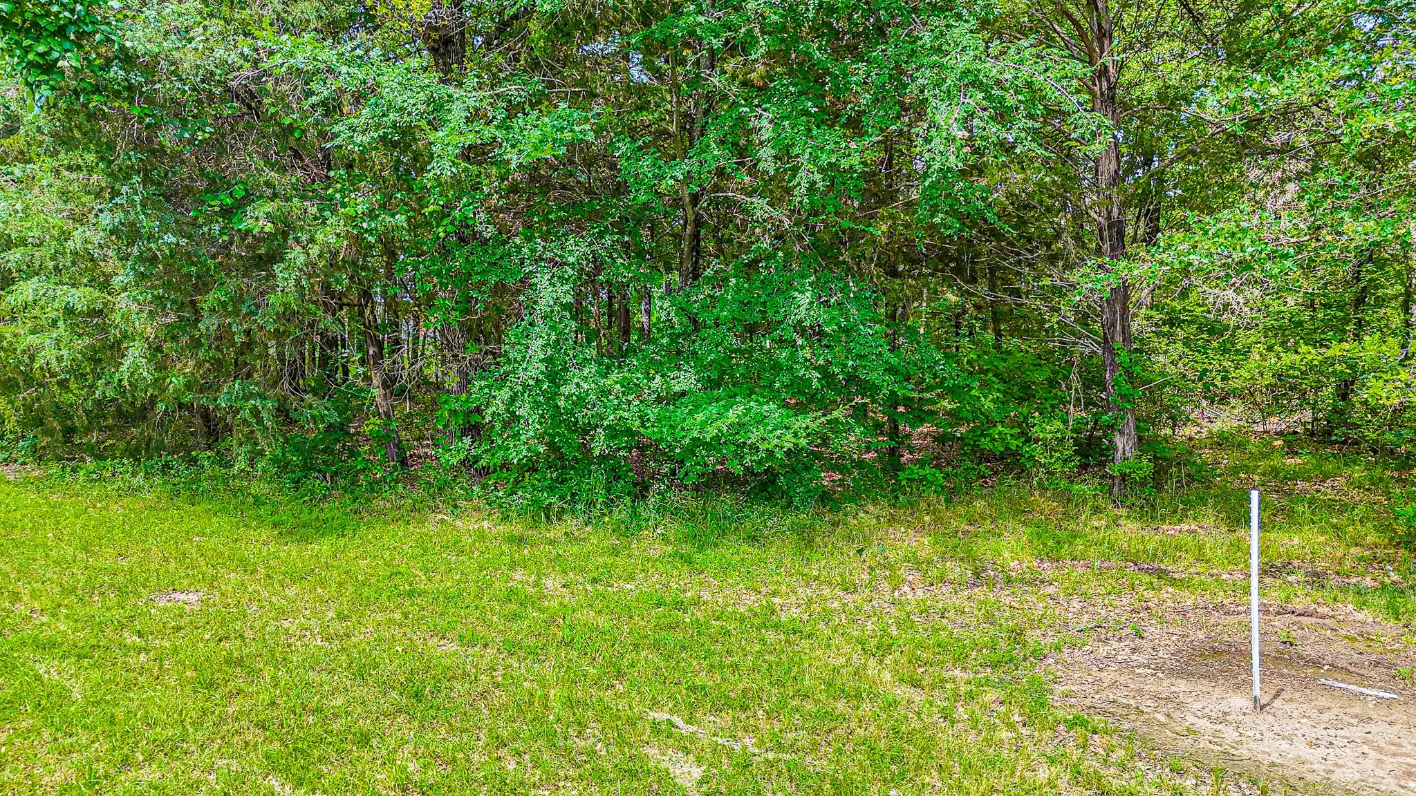 View of nature