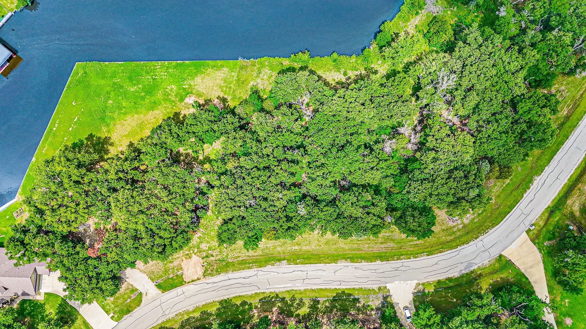 View of bird's eye view