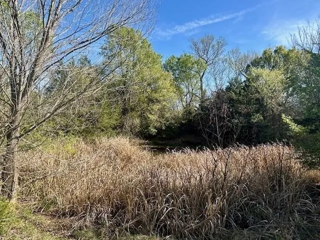 Improved Land For Sale in Leon County , TBD FM 1512, Jewett, Texas 75846, 0, 0, Garage spaces, 0 Sqft, built in 0, mls#21407986, Real Estate Agent in Jewett, Homes For Sale in Leon county, Homes For Sale in Jewett, Realtor in Jewett Texas, Real Estate Brokerage Independent Realty Texas, Luminita Cordes Realtor