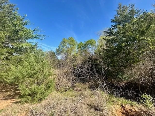 Improved Land For Sale in Leon County , TBD FM 1512, Jewett, Texas 75846, 0, 0, Garage spaces, 0 Sqft, built in 0, mls#21407986, Real Estate Agent in Jewett, Homes For Sale in Leon county, Homes For Sale in Jewett, Realtor in Jewett Texas, Real Estate Brokerage Independent Realty Texas, Luminita Cordes Realtor