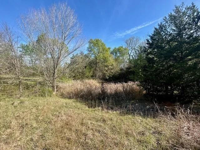 Improved Land For Sale in Leon County , TBD FM 1512, Jewett, Texas 75846, 0, 0, Garage spaces, 0 Sqft, built in 0, mls#21407986, Real Estate Agent in Jewett, Homes For Sale in Leon county, Homes For Sale in Jewett, Realtor in Jewett Texas, Real Estate Brokerage Independent Realty Texas, Luminita Cordes Realtor