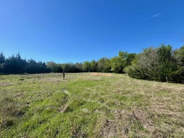 Improved Land For Sale in Leon County , TBD FM 1512, Jewett, Texas 75846, 0, 0, Garage spaces, 0 Sqft, built in 0, mls#21407986, Real Estate Agent in Jewett, Homes For Sale in Leon county, Homes For Sale in Jewett, Realtor in Jewett Texas, Real Estate Brokerage Independent Realty Texas, Luminita Cordes Realtor