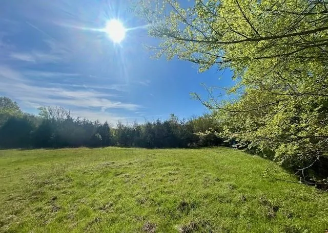 Improved Land For Sale in Leon County , TBD FM 1512, Jewett, Texas 75846, 0, 0, Garage spaces, 0 Sqft, built in 0, mls#21407986, Real Estate Agent in Jewett, Homes For Sale in Leon county, Homes For Sale in Jewett, Realtor in Jewett Texas, Real Estate Brokerage Independent Realty Texas, Luminita Cordes Realtor