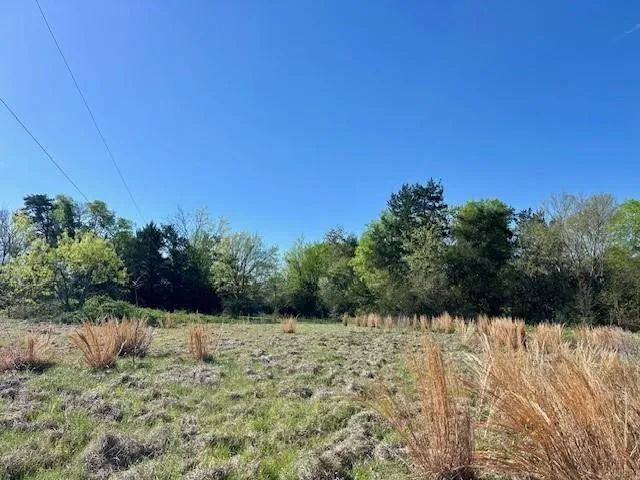 Improved Land For Sale in Leon County , TBD FM 1512, Jewett, Texas 75846, 0, 0, Garage spaces, 0 Sqft, built in 0, mls#21407986, Real Estate Agent in Jewett, Homes For Sale in Leon county, Homes For Sale in Jewett, Realtor in Jewett Texas, Real Estate Brokerage Independent Realty Texas, Luminita Cordes Realtor