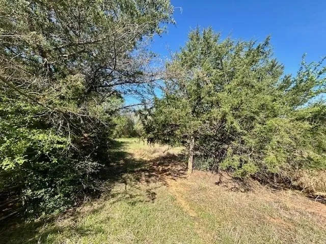 Improved Land For Sale in Leon County , TBD FM 1512, Jewett, Texas 75846, 0, 0, Garage spaces, 0 Sqft, built in 0, mls#21407986, Real Estate Agent in Jewett, Homes For Sale in Leon county, Homes For Sale in Jewett, Realtor in Jewett Texas, Real Estate Brokerage Independent Realty Texas, Luminita Cordes Realtor