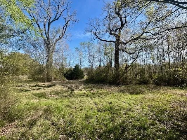 Improved Land For Sale in Leon County , TBD FM 1512, Jewett, Texas 75846, 0, 0, Garage spaces, 0 Sqft, built in 0, mls#21407986, Real Estate Agent in Jewett, Homes For Sale in Leon county, Homes For Sale in Jewett, Realtor in Jewett Texas, Real Estate Brokerage Independent Realty Texas, Luminita Cordes Realtor