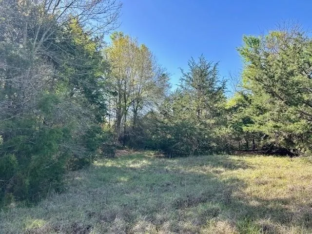 Improved Land For Sale in Leon County , TBD FM 1512, Jewett, Texas 75846, 0, 0, Garage spaces, 0 Sqft, built in 0, mls#21407986, Real Estate Agent in Jewett, Homes For Sale in Leon county, Homes For Sale in Jewett, Realtor in Jewett Texas, Real Estate Brokerage Independent Realty Texas, Luminita Cordes Realtor