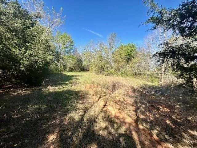 Improved Land For Sale in Leon County , TBD FM 1512, Jewett, Texas 75846, 0, 0, Garage spaces, 0 Sqft, built in 0, mls#21407986, Real Estate Agent in Jewett, Homes For Sale in Leon county, Homes For Sale in Jewett, Realtor in Jewett Texas, Real Estate Brokerage Independent Realty Texas, Luminita Cordes Realtor