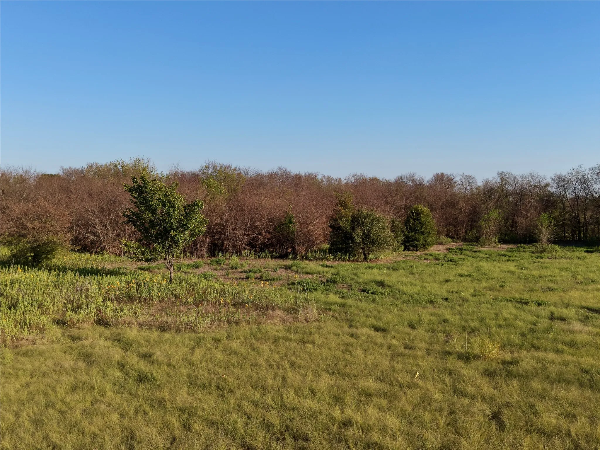 Unimproved Land For Sale in Denton County , 0 AA Bumgarner Road, Justin, Texas 76247, 0, 0, Garage spaces, 0 Sqft, built in 0, mls#21402520, Real Estate Agent in Justin, Homes For Sale in Denton county, Homes For Sale in Justin, Realtor in Justin Texas, Real Estate Brokerage Independent Realty Texas, Luminita Cordes Realtor