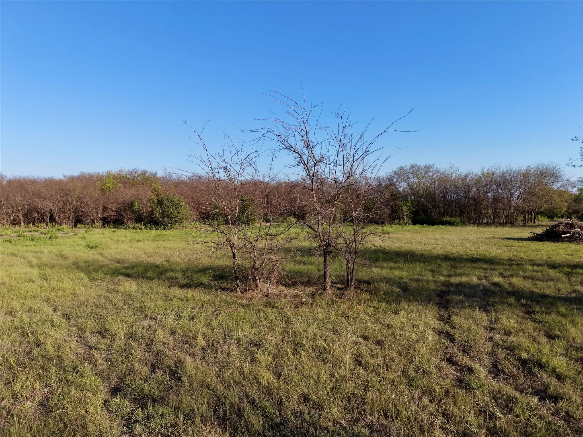 Unimproved Land For Sale in Denton County , 0 AA Bumgarner Road, Justin, Texas 76247, 0, 0, Garage spaces, 0 Sqft, built in 0, mls#21402520, Real Estate Agent in Justin, Homes For Sale in Denton county, Homes For Sale in Justin, Realtor in Justin Texas, Real Estate Brokerage Independent Realty Texas, Luminita Cordes Realtor