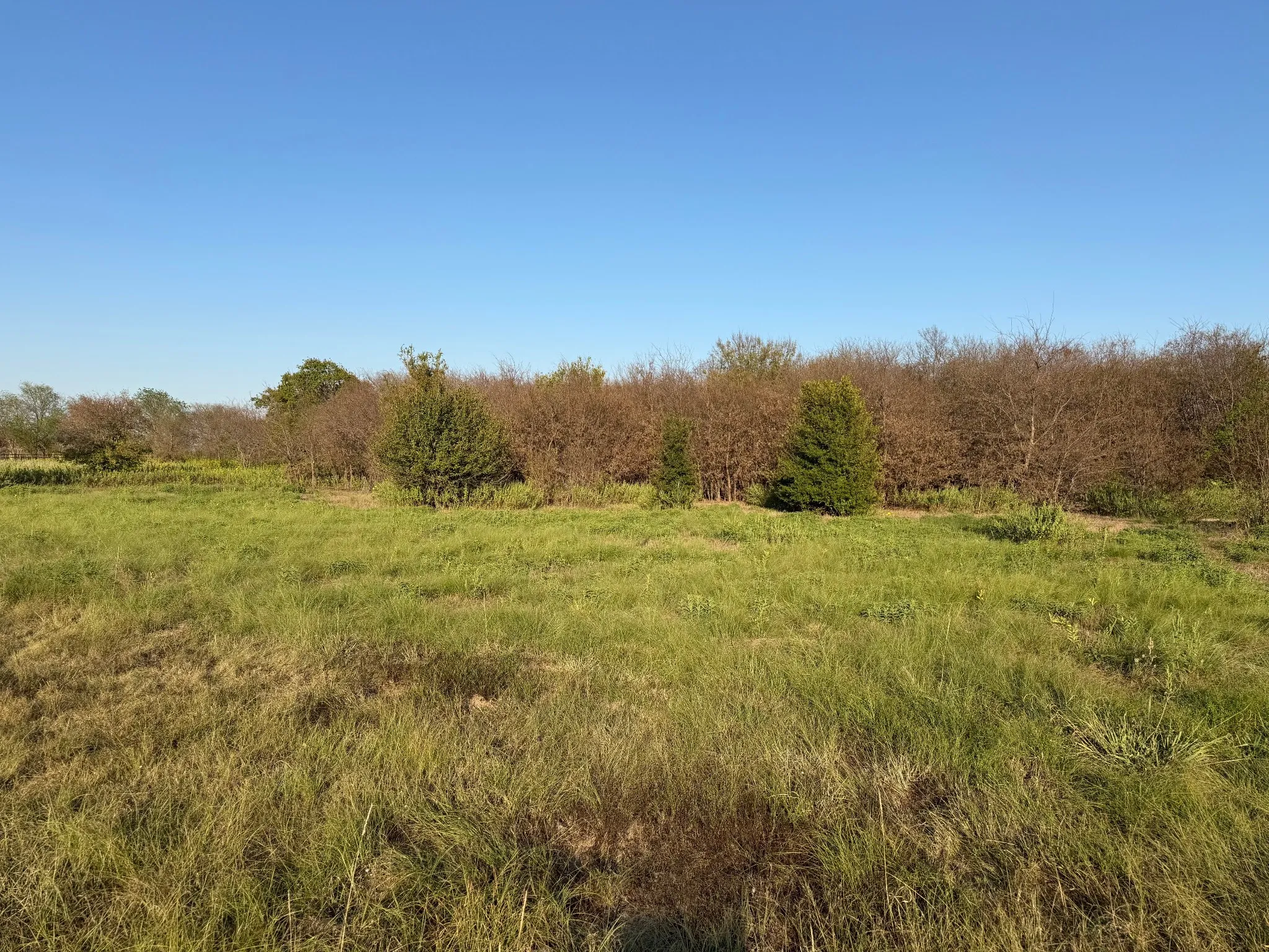 Unimproved Land For Sale in Denton County , 0 AA Bumgarner Road, Justin, Texas 76247, 0, 0, Garage spaces, 0 Sqft, built in 0, mls#21402520, Real Estate Agent in Justin, Homes For Sale in Denton county, Homes For Sale in Justin, Realtor in Justin Texas, Real Estate Brokerage Independent Realty Texas, Luminita Cordes Realtor