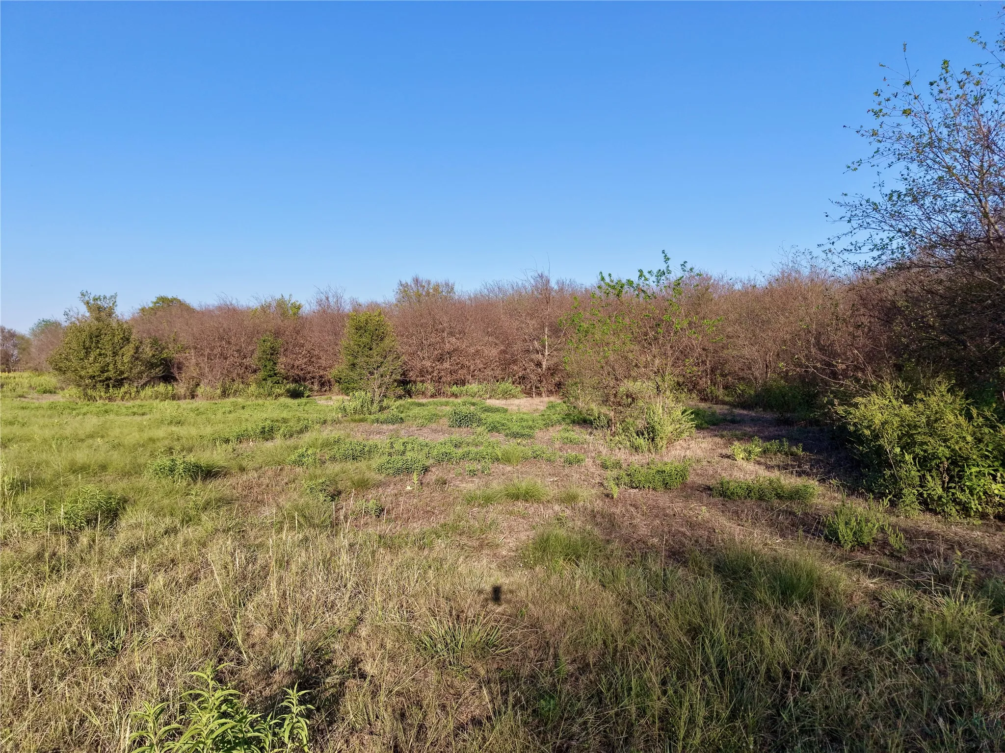 Unimproved Land For Sale in Denton County , 0 AA Bumgarner Road, Justin, Texas 76247, 0, 0, Garage spaces, 0 Sqft, built in 0, mls#21402520, Real Estate Agent in Justin, Homes For Sale in Denton county, Homes For Sale in Justin, Realtor in Justin Texas, Real Estate Brokerage Independent Realty Texas, Luminita Cordes Realtor