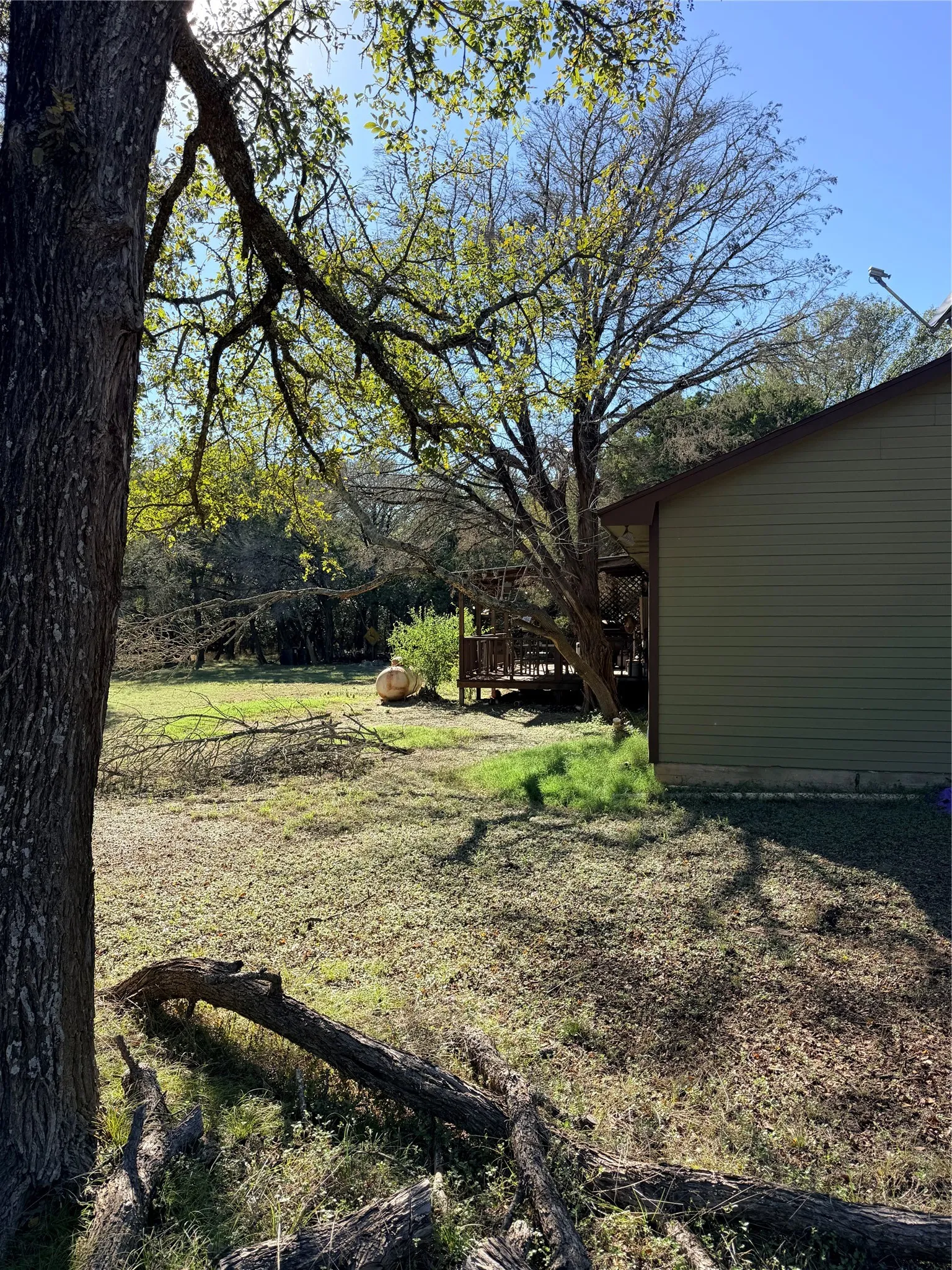 Expansive exterior grounds featuring mature trees and a wood-decked patio