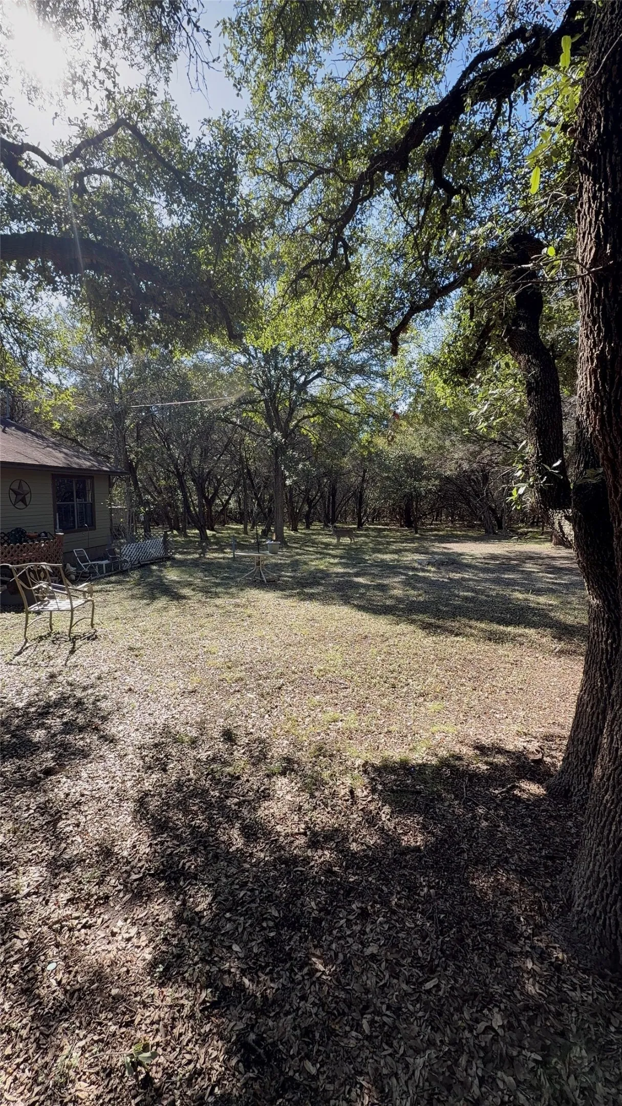 Spacious grounds featuring mature oak trees with natural canopy coverage, gravel and dirt pathways, and open lawn areas