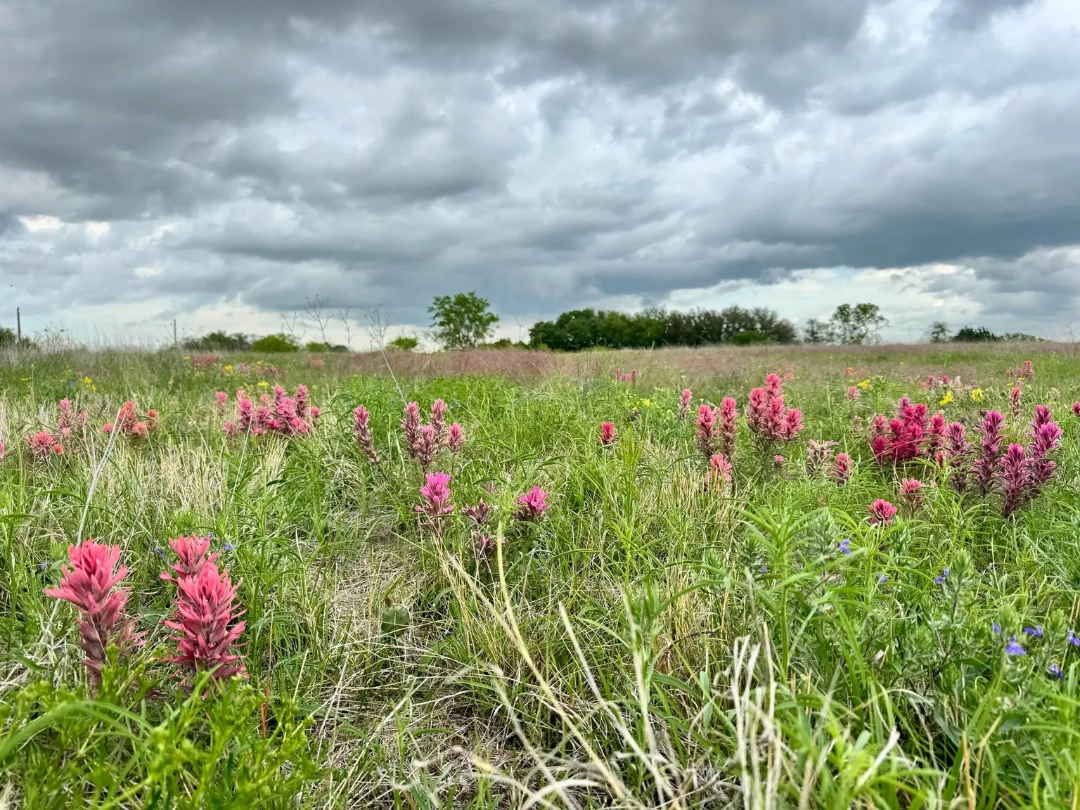 Single Family Residence For Sale in Comanche County , 1926 County Road 333, Dublin, Texas 76446, 2 Bedroom, 1 Bathroom, Garage spaces, 1,100 Sqft, built in 2019, mls#21405814, Real Estate Agent in Dublin, Homes For Sale in Comanche county, Homes For Sale in Dublin, Realtor in Dublin Texas, Real Estate Brokerage Independent Realty Texas, Luminita Cordes Realtor