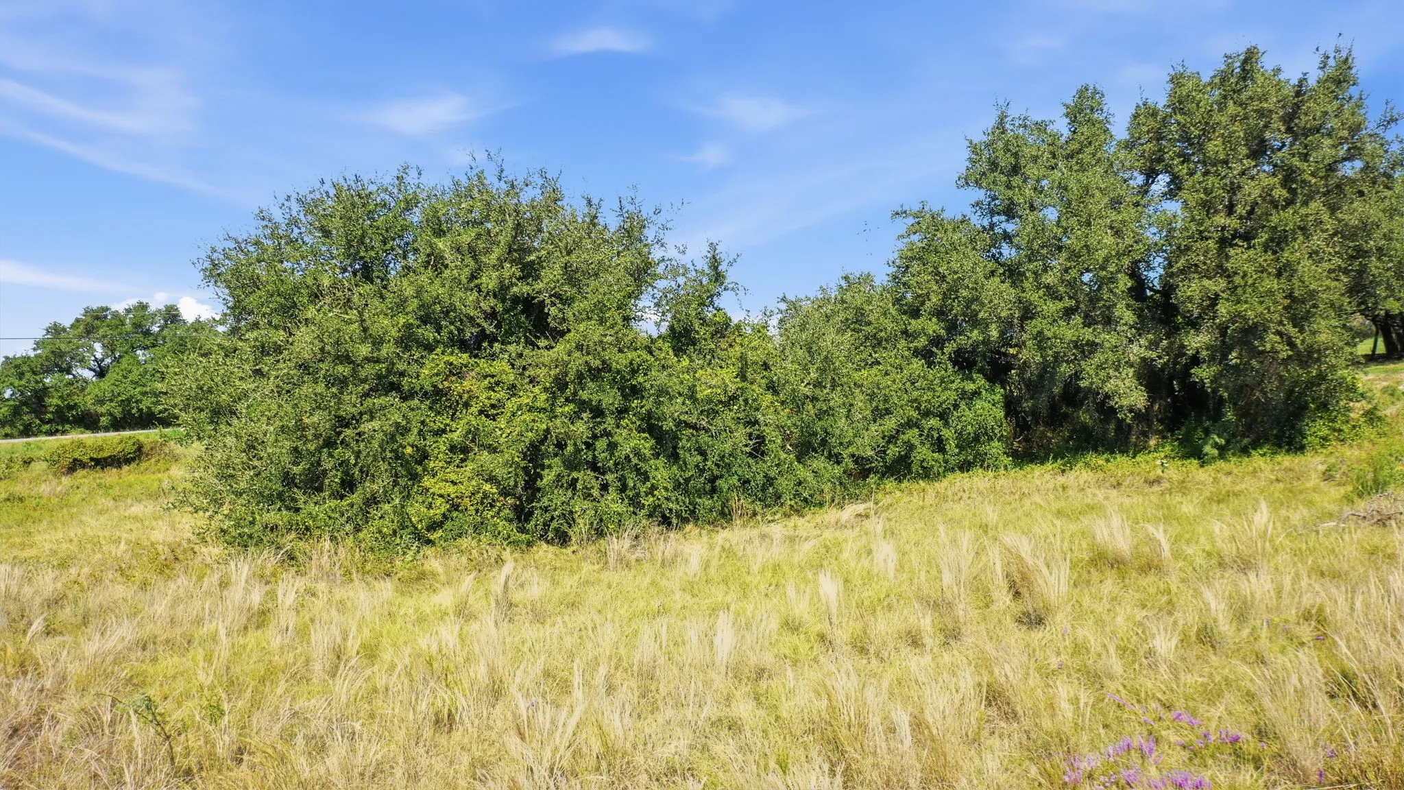 Unimproved Land For Sale in Erath County , TBD Cattle Drive, Stephenville, Texas 76401, 0, 0, Garage spaces, 0 Sqft, built in 0, mls#21405781, Real Estate Agent in Stephenville, Homes For Sale in Erath county, Homes For Sale in Stephenville, Realtor in Stephenville Texas, Real Estate Brokerage Independent Realty Texas, Luminita Cordes Realtor