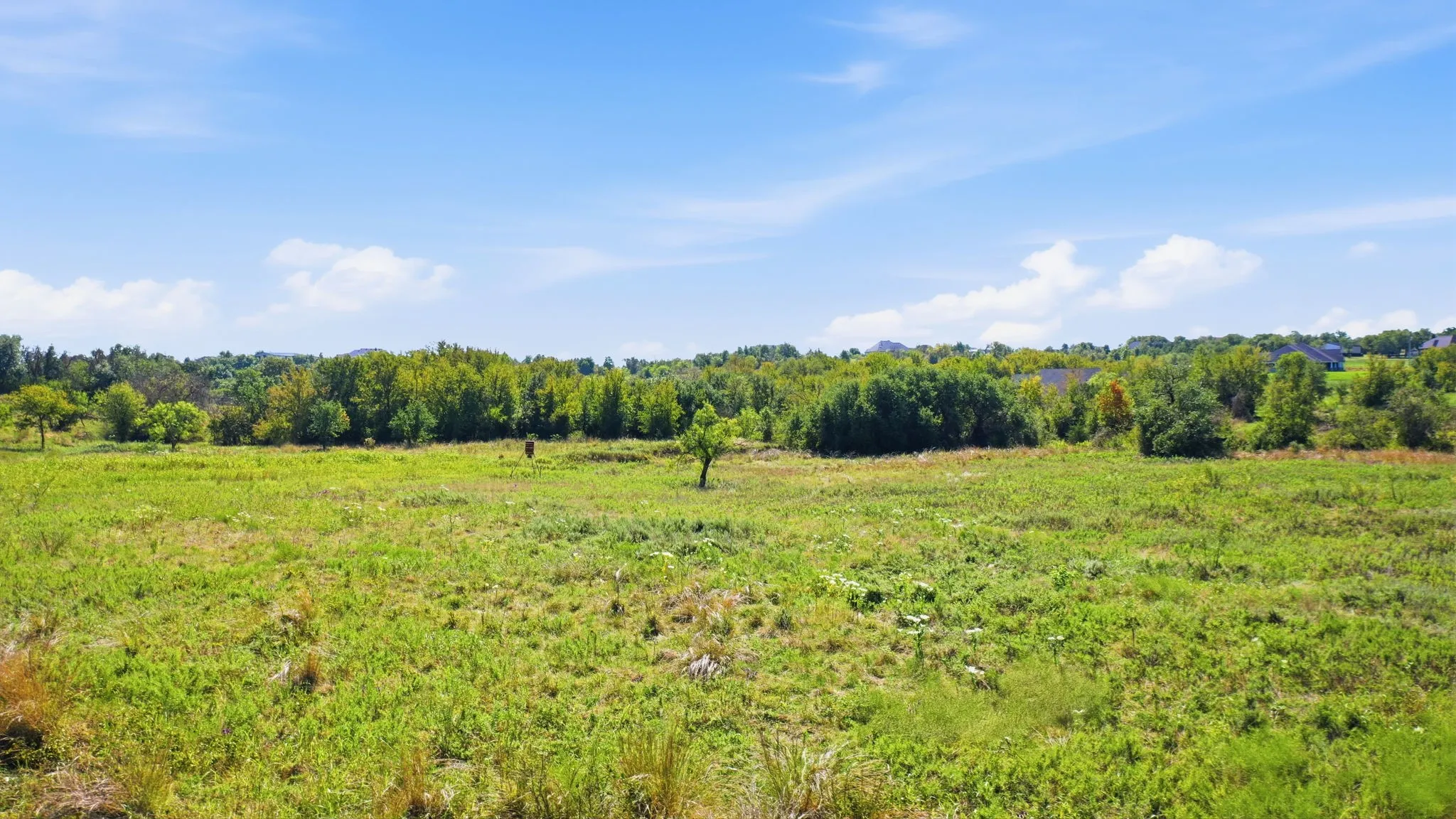 Unimproved Land For Sale in Erath County , TBD Cattle Drive, Stephenville, Texas 76401, 0, 0, Garage spaces, 0 Sqft, built in 0, mls#21405781, Real Estate Agent in Stephenville, Homes For Sale in Erath county, Homes For Sale in Stephenville, Realtor in Stephenville Texas, Real Estate Brokerage Independent Realty Texas, Luminita Cordes Realtor