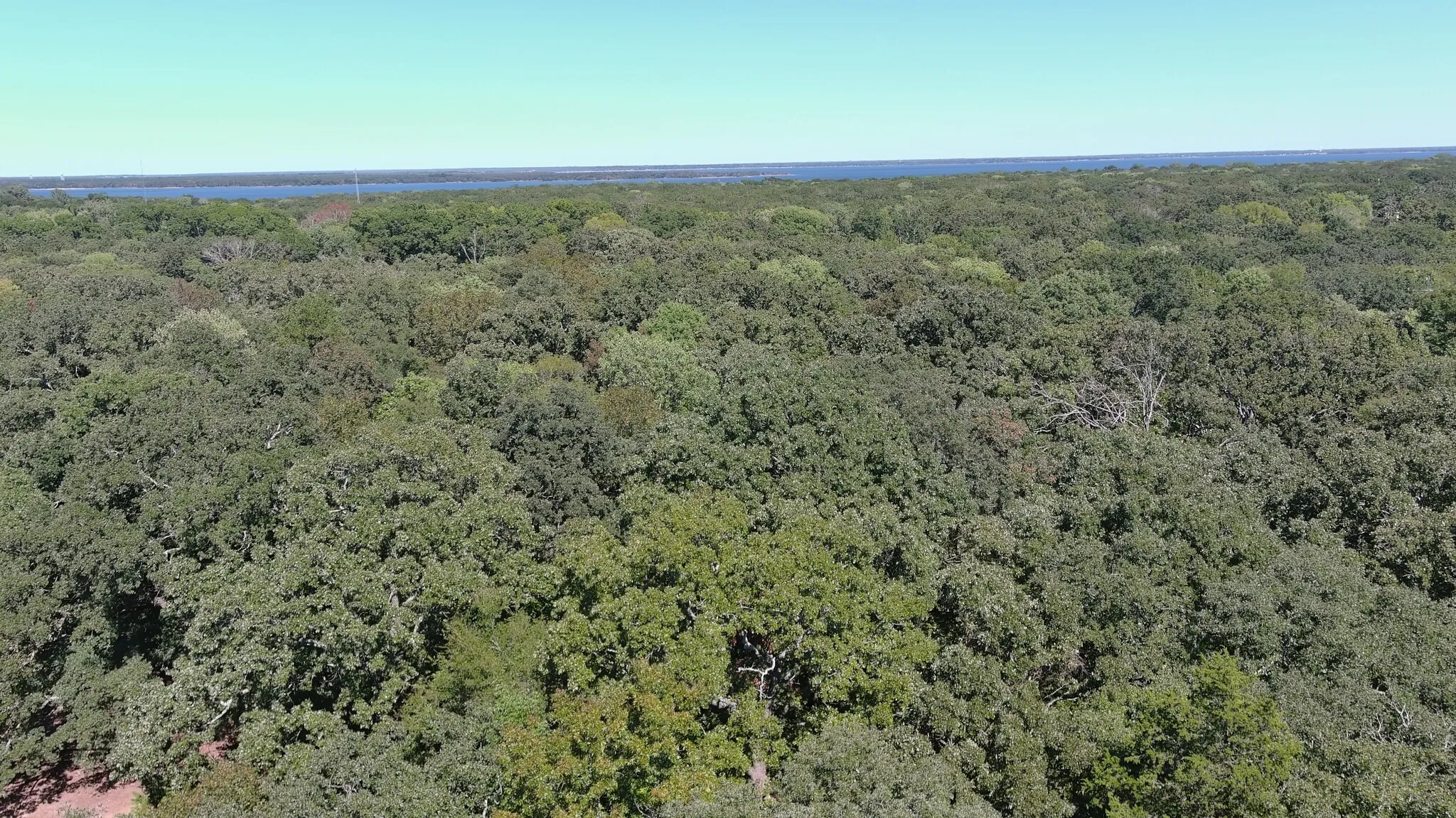 Unimproved Land For Sale in Hunt County , 11015 Lakeview Drive NE, Quinlan, Texas 75474, 0, 0, Garage spaces, 0 Sqft, built in 0, mls#21407941, Real Estate Agent in Quinlan, Homes For Sale in Hunt county, Homes For Sale in Quinlan, Realtor in Quinlan Texas, Real Estate Brokerage Independent Realty Texas, Luminita Cordes Realtor