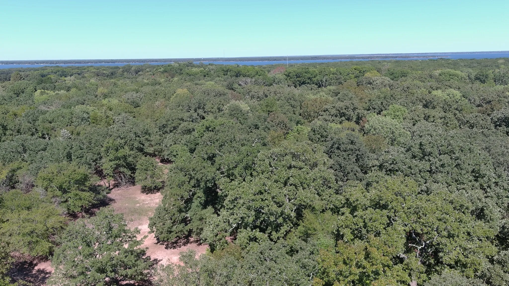 Unimproved Land For Sale in Hunt County , 11015 Lakeview Drive NE, Quinlan, Texas 75474, 0, 0, Garage spaces, 0 Sqft, built in 0, mls#21407941, Real Estate Agent in Quinlan, Homes For Sale in Hunt county, Homes For Sale in Quinlan, Realtor in Quinlan Texas, Real Estate Brokerage Independent Realty Texas, Luminita Cordes Realtor