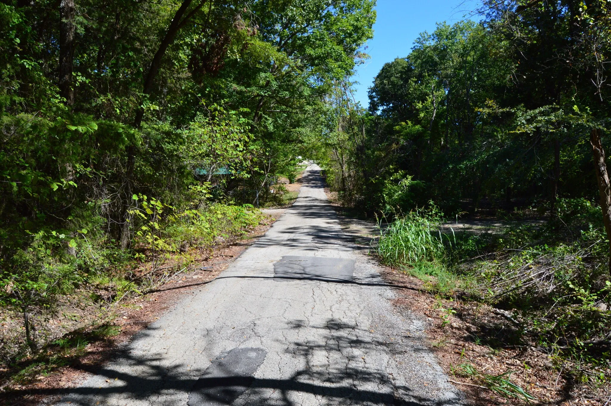Unimproved Land For Sale in Hunt County , 11015 Lakeview Drive NE, Quinlan, Texas 75474, 0, 0, Garage spaces, 0 Sqft, built in 0, mls#21407941, Real Estate Agent in Quinlan, Homes For Sale in Hunt county, Homes For Sale in Quinlan, Realtor in Quinlan Texas, Real Estate Brokerage Independent Realty Texas, Luminita Cordes Realtor