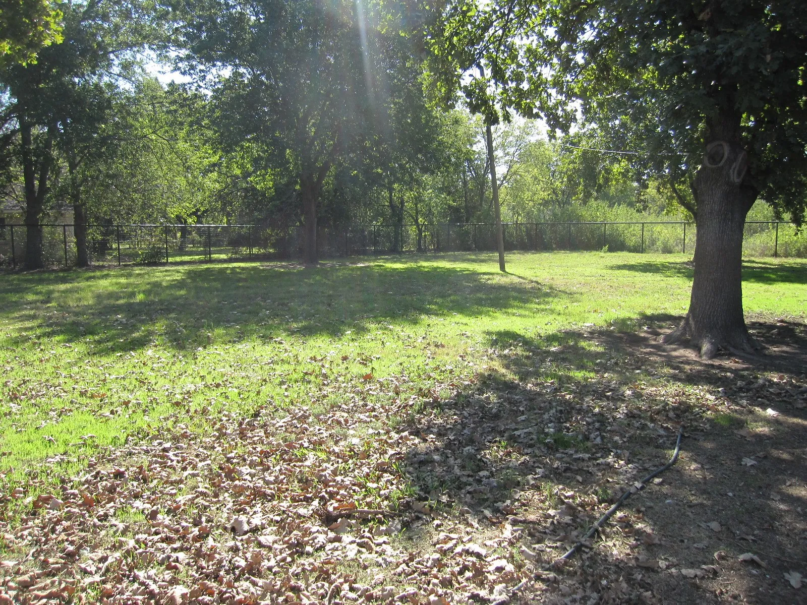 Single Family Residence For Sale in Wise County , 508 S Hovey Street, Chico, Texas 76431, 3 Bedroom, 2 Bathroom, 2 Garage spaces, 1,470 Sqft, built in 1979, mls#21405683, Real Estate Agent in Chico, Homes For Sale in Wise county, Homes For Sale in Chico, Realtor in Chico Texas, Real Estate Brokerage Independent Realty Texas, Luminita Cordes Realtor