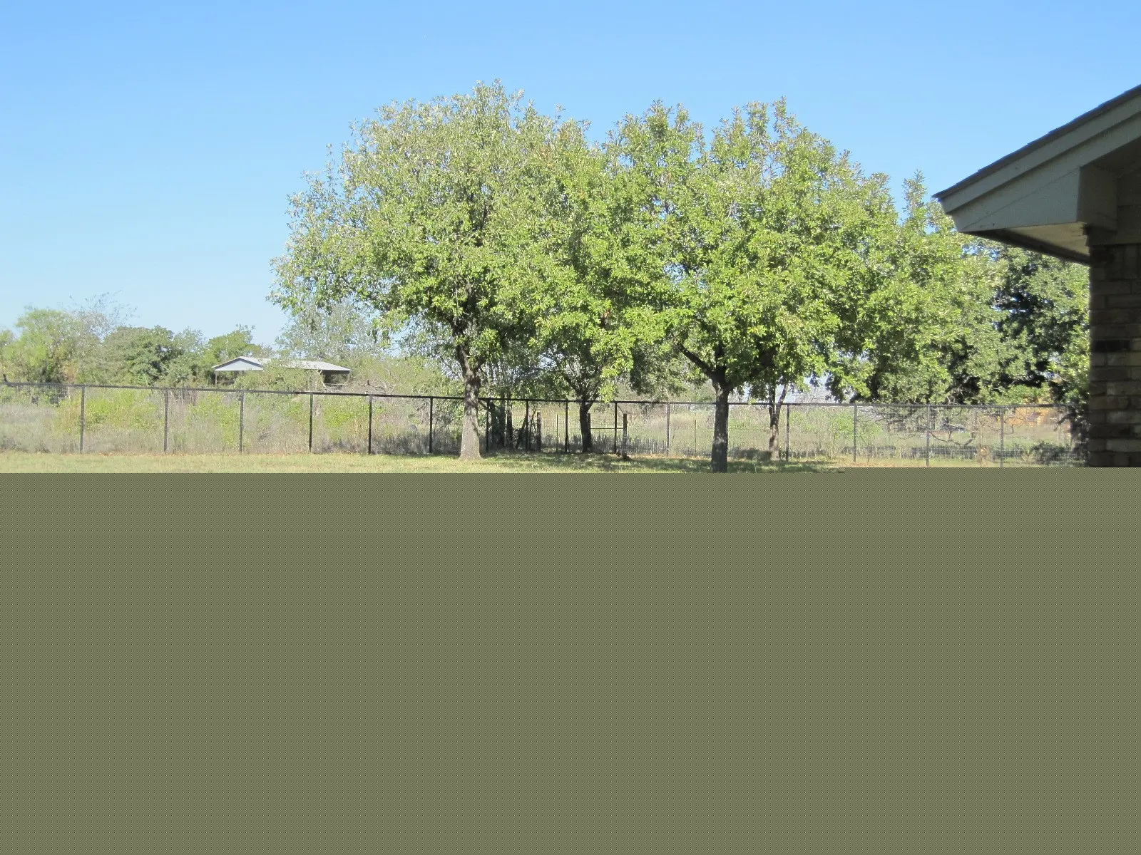 Single Family Residence For Sale in Wise County , 508 S Hovey Street, Chico, Texas 76431, 3 Bedroom, 2 Bathroom, 2 Garage spaces, 1,470 Sqft, built in 1979, mls#21405683, Real Estate Agent in Chico, Homes For Sale in Wise county, Homes For Sale in Chico, Realtor in Chico Texas, Real Estate Brokerage Independent Realty Texas, Luminita Cordes Realtor