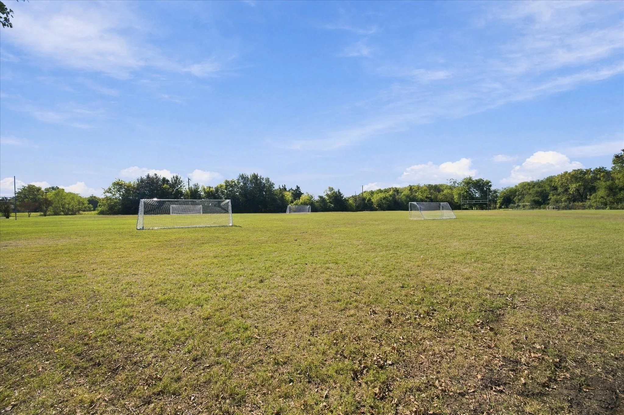 Expansive green space featuring multiple soccer goals and perimeter trees
