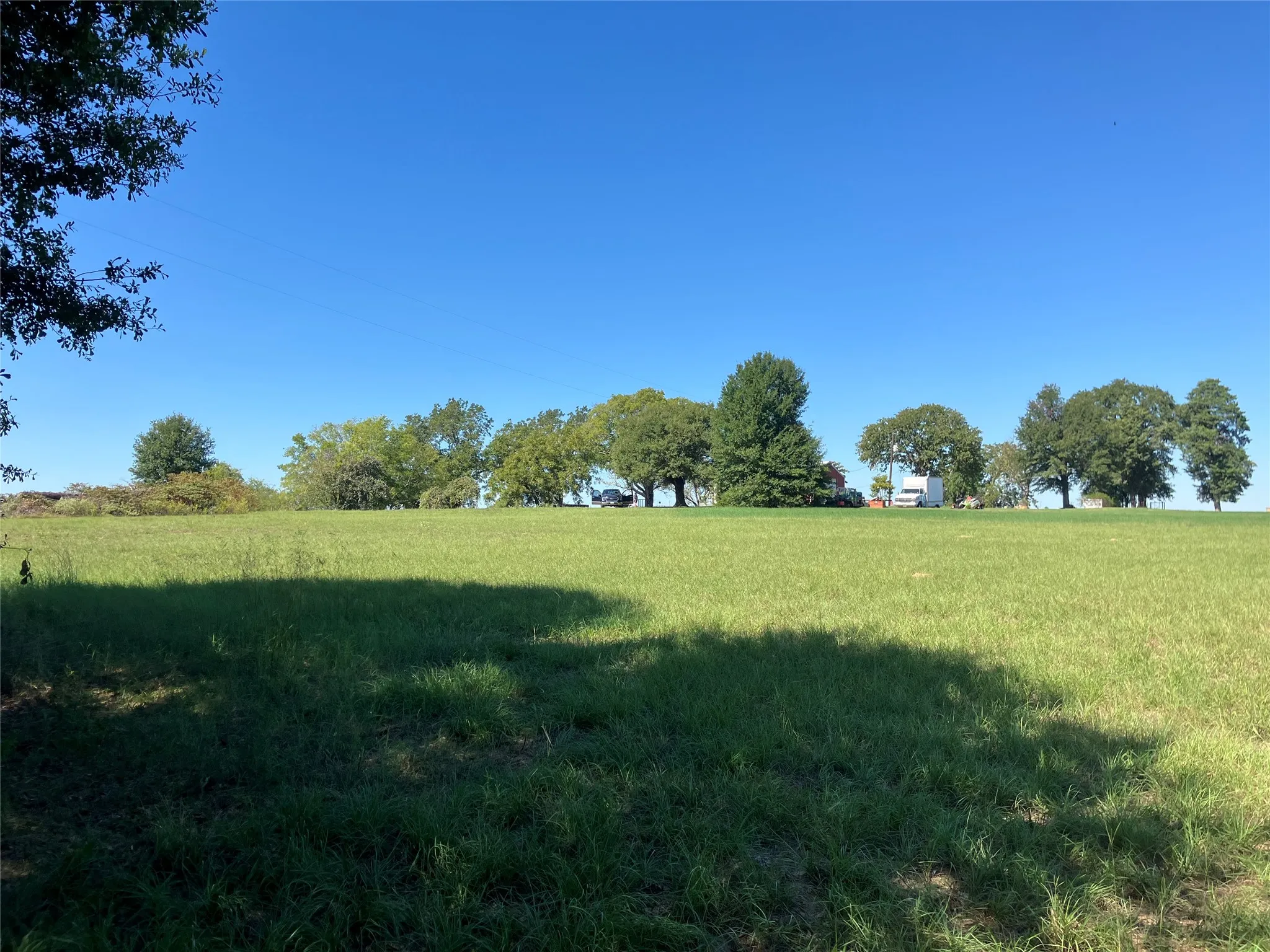 Expansive green field with a clear horizon, framed by a line of mature deciduous trees