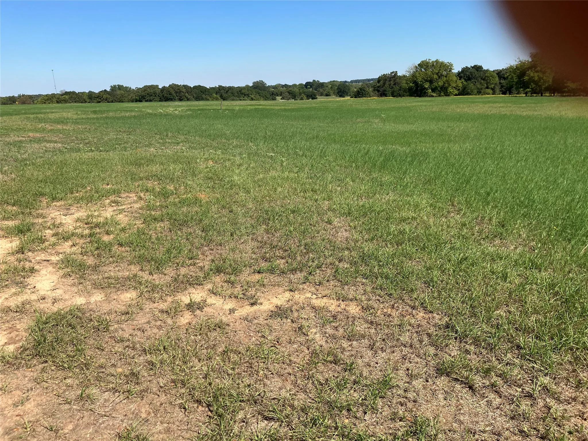 Expansive open land featuring green grass and natural foliage along the distant tree line