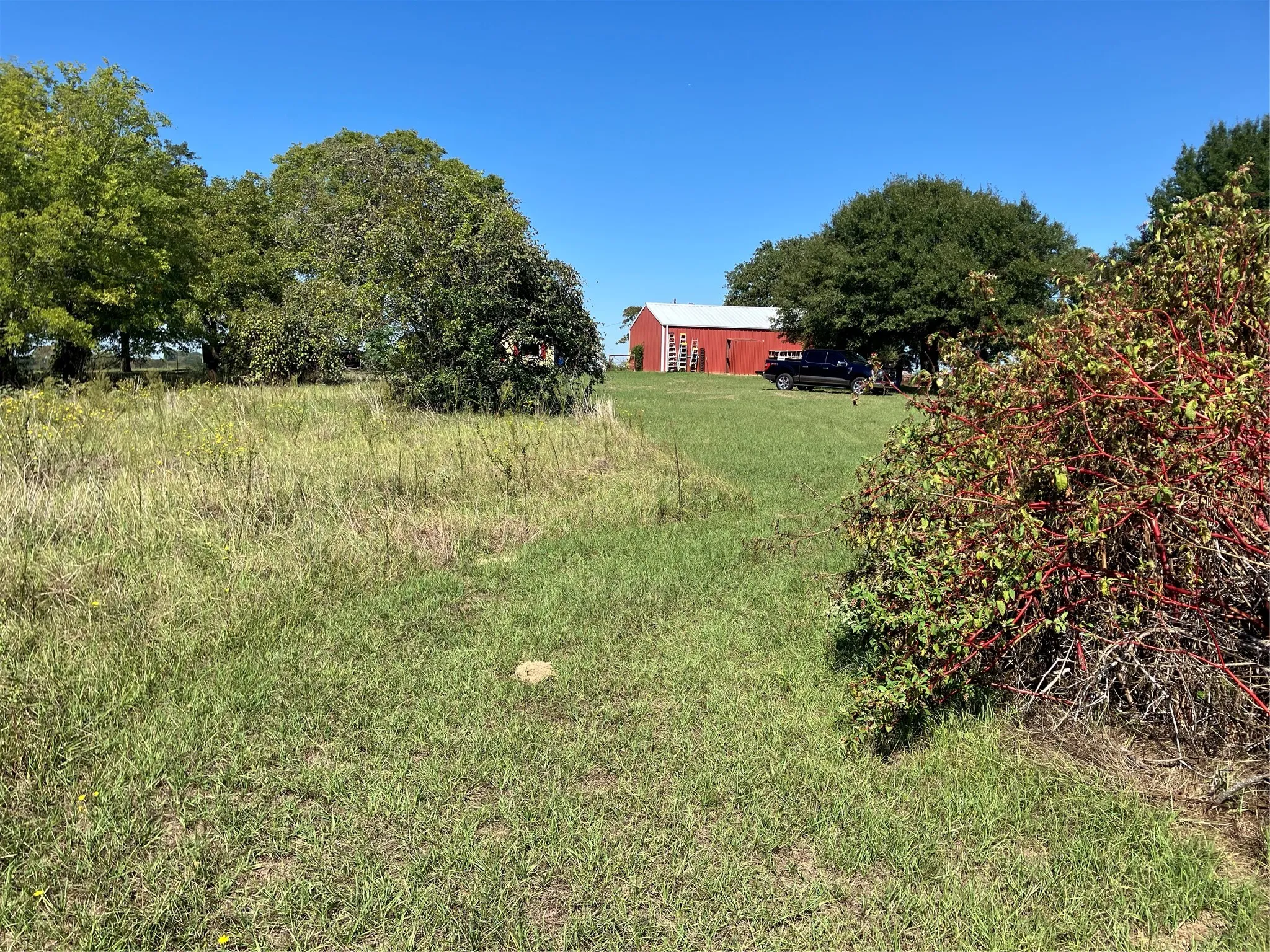 Expansive green space