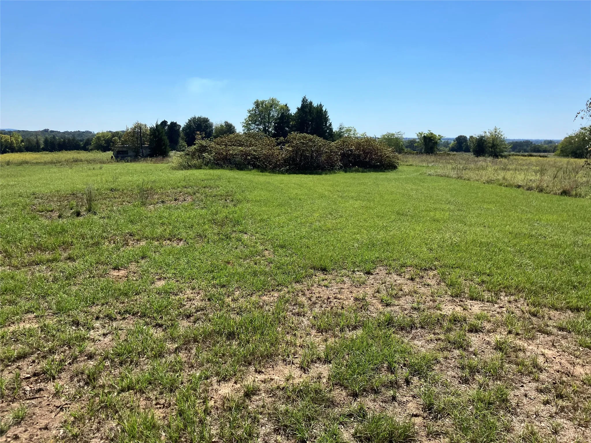 Expansive green lawn with scattered trees and distant rolling hills
