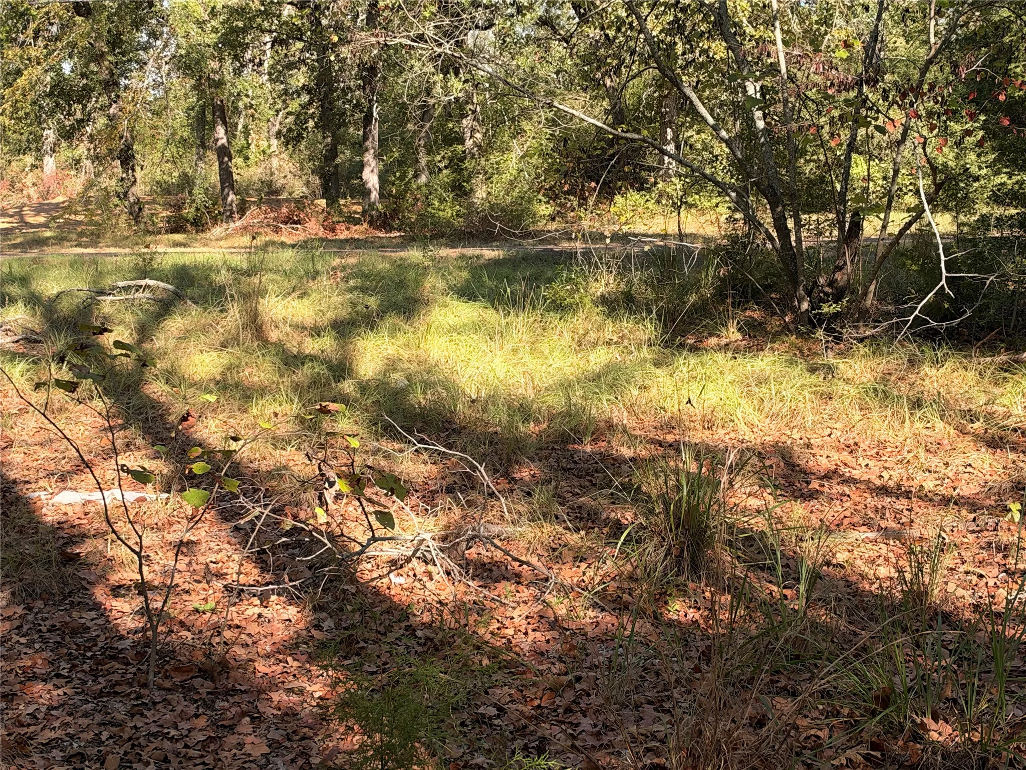Improved Land For Sale in Anderson County , 562 An County Road 2223, Tennessee Colony, Texas 75861, 0, 0, Garage spaces, 0 Sqft, built in 1979, mls#21393932, Real Estate Agent in Tennessee Colony, Homes For Sale in Anderson county, Homes For Sale in Tennessee Colony, Realtor in Tennessee Colony Texas, Real Estate Brokerage Independent Realty Texas, Luminita Cordes Realtor