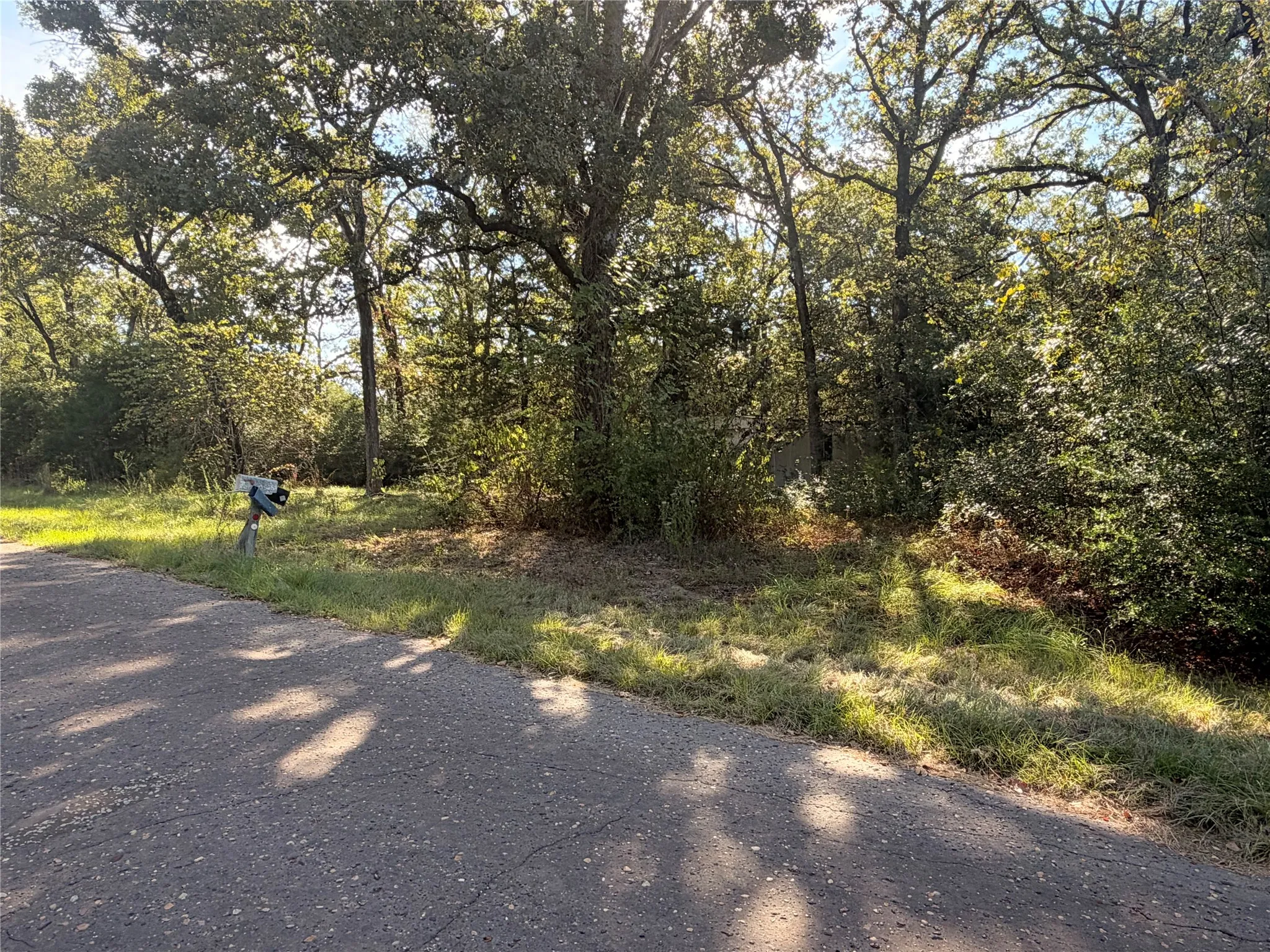 Improved Land For Sale in Anderson County , 562 An County Road 2223, Tennessee Colony, Texas 75861, 0, 0, Garage spaces, 0 Sqft, built in 1979, mls#21393932, Real Estate Agent in Tennessee Colony, Homes For Sale in Anderson county, Homes For Sale in Tennessee Colony, Realtor in Tennessee Colony Texas, Real Estate Brokerage Independent Realty Texas, Luminita Cordes Realtor