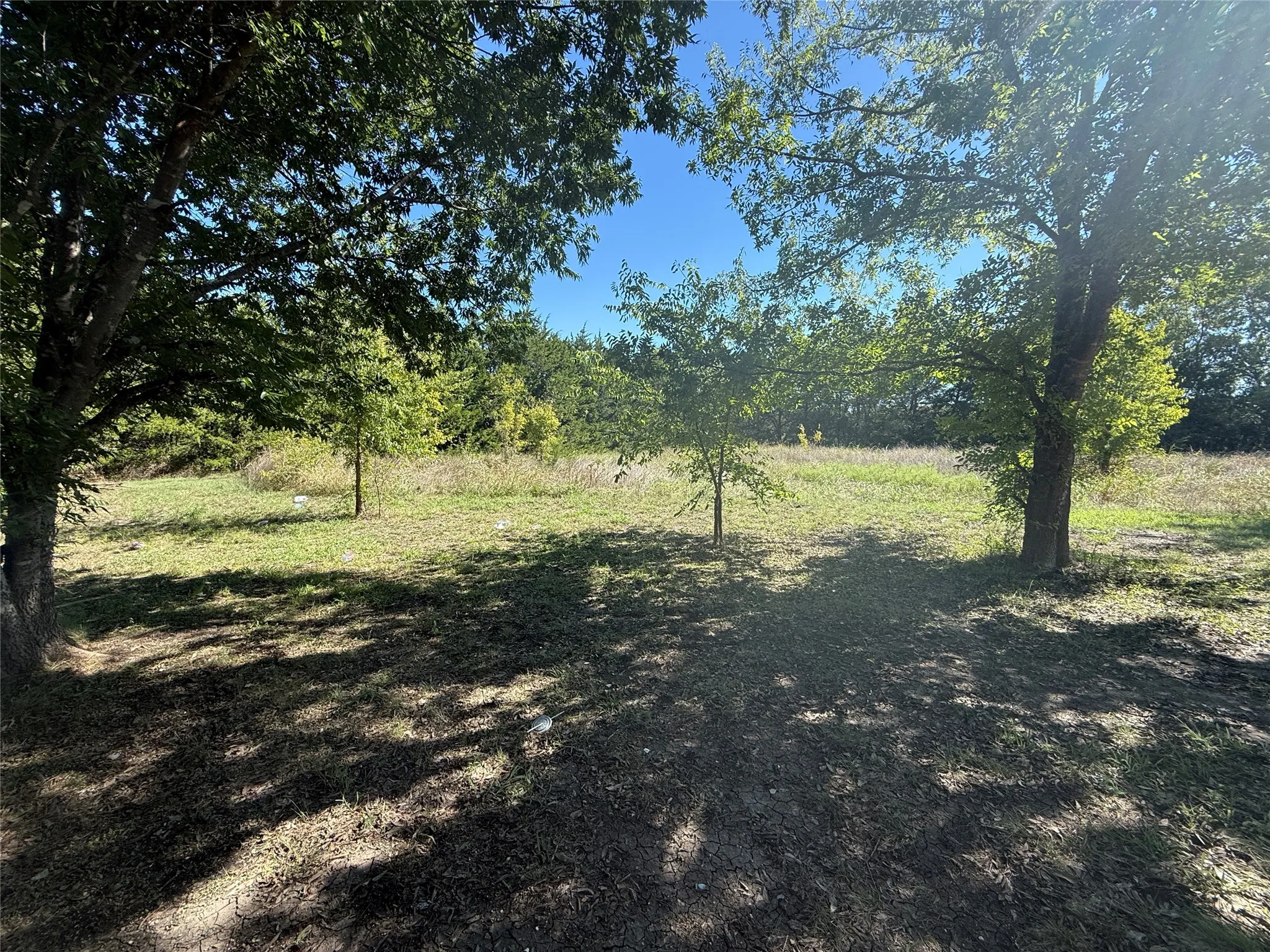 Improved Land For Sale in Collin County , 9191 Fm 2862, Anna, Texas 75409, 0, 0, Garage spaces, 0 Sqft, built in 1946, mls#21408123, Real Estate Agent in Anna, Homes For Sale in Collin county, Homes For Sale in Anna, Realtor in Anna Texas, Real Estate Brokerage Independent Realty Texas, Luminita Cordes Realtor