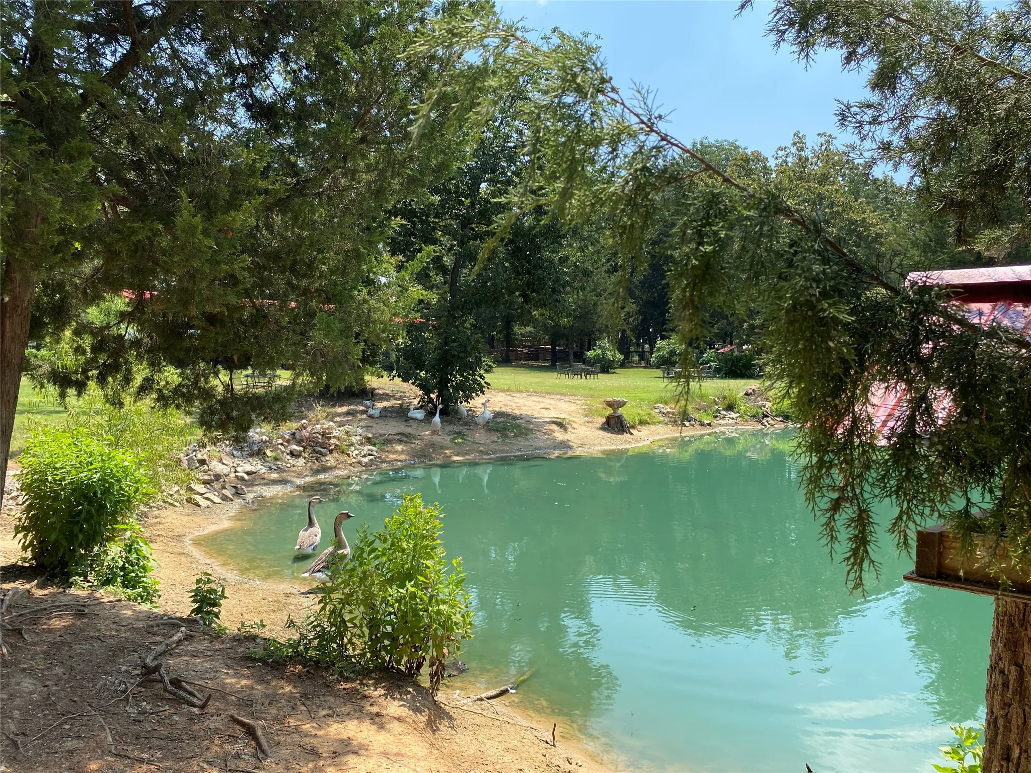 Water feature with natural banks, surrounded by mature trees and lush greenery.